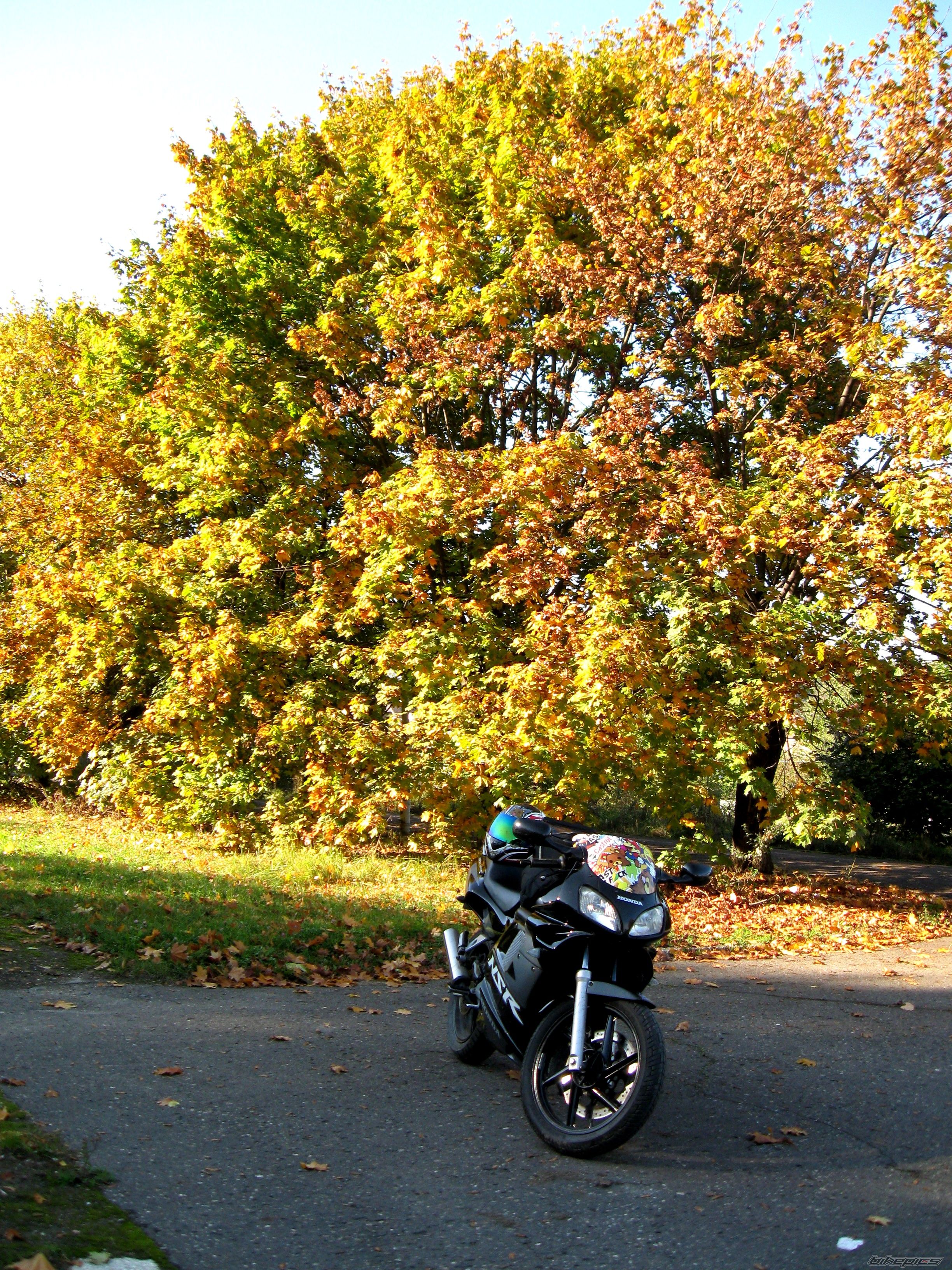 Photo 2287592