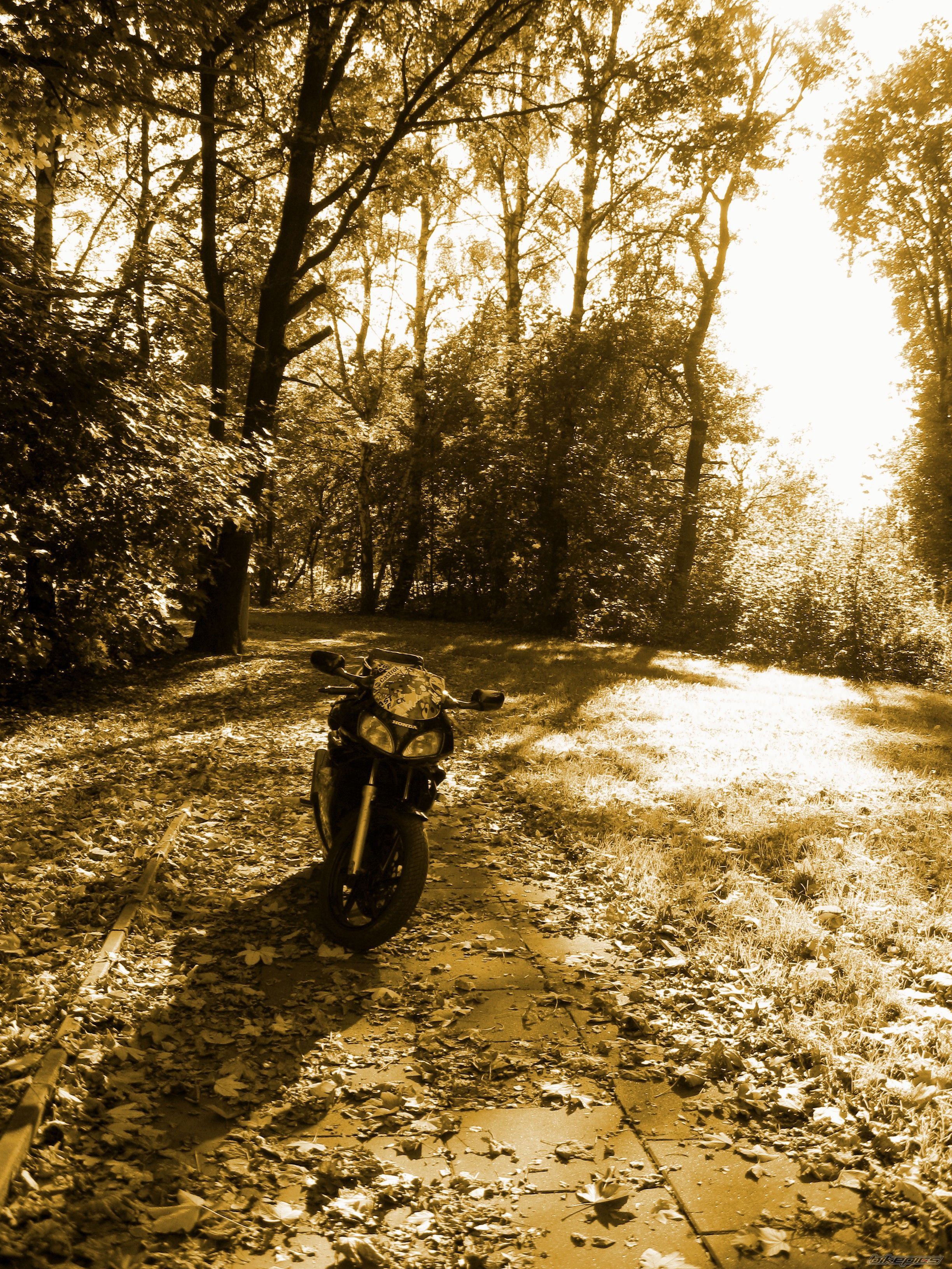 Photo 2287596
