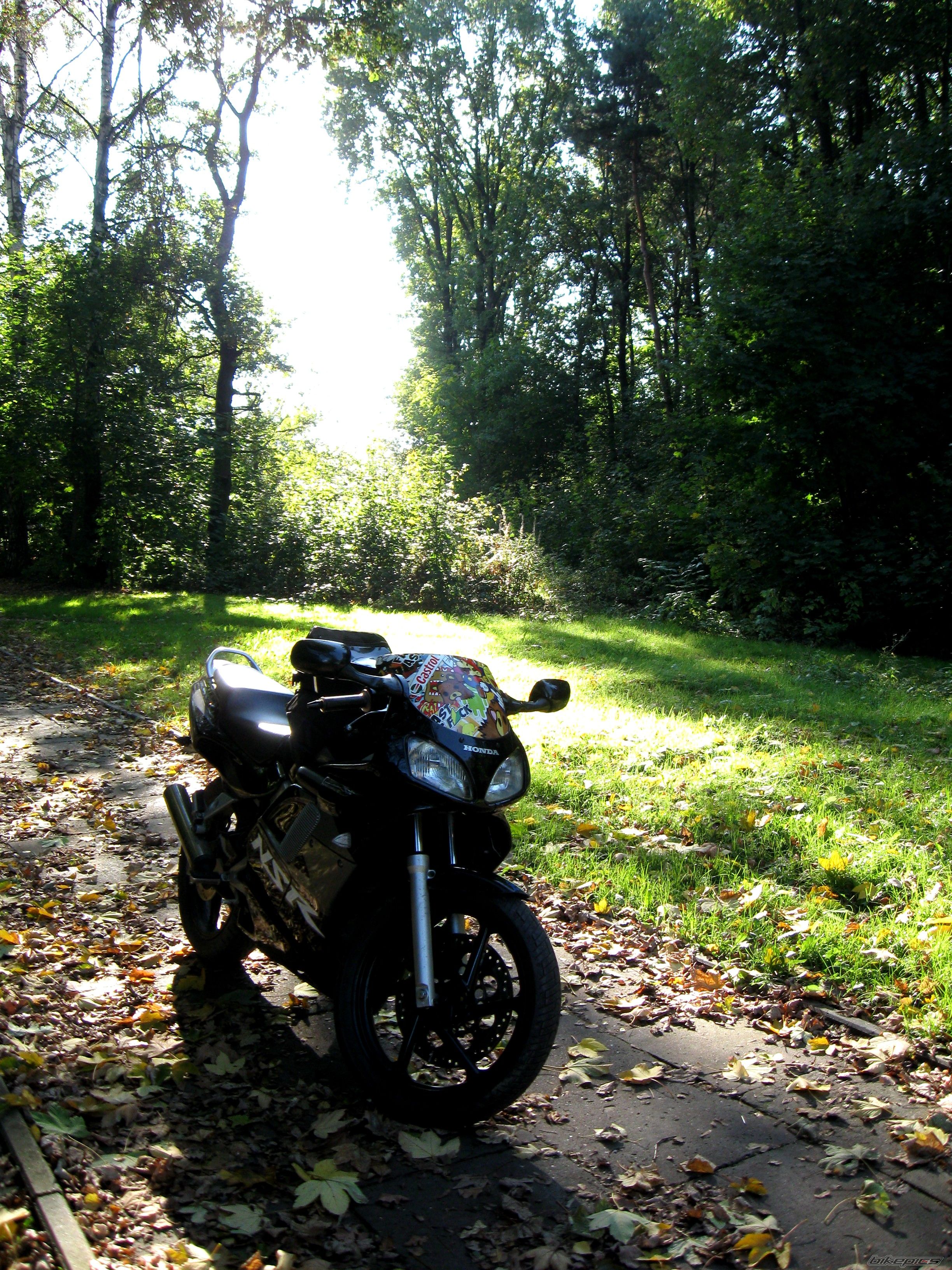 Photo 2287597