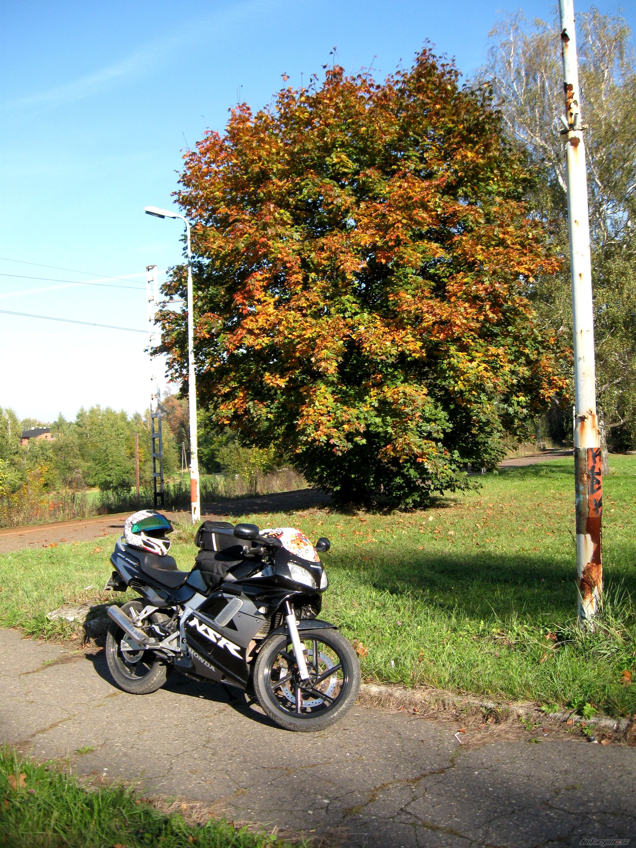 Photo 2287604
