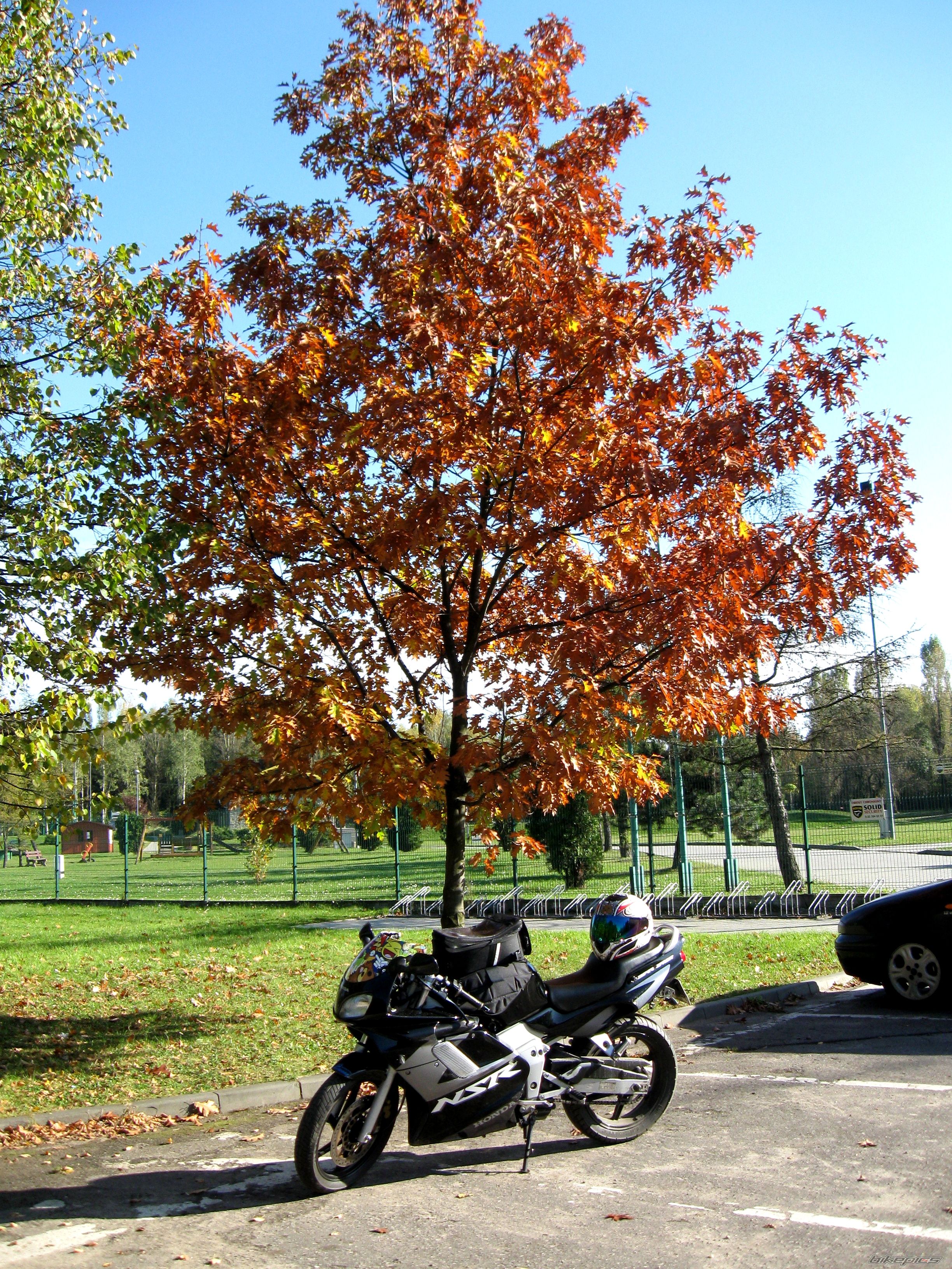 Photo 2287611