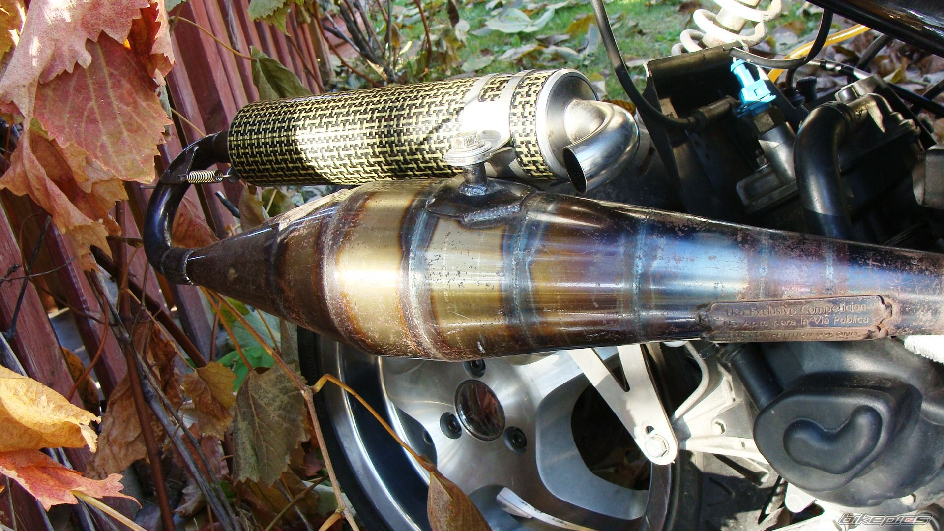 Photo 2287614
