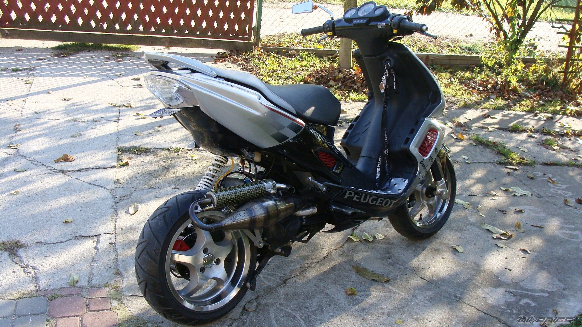 Photo 2287623