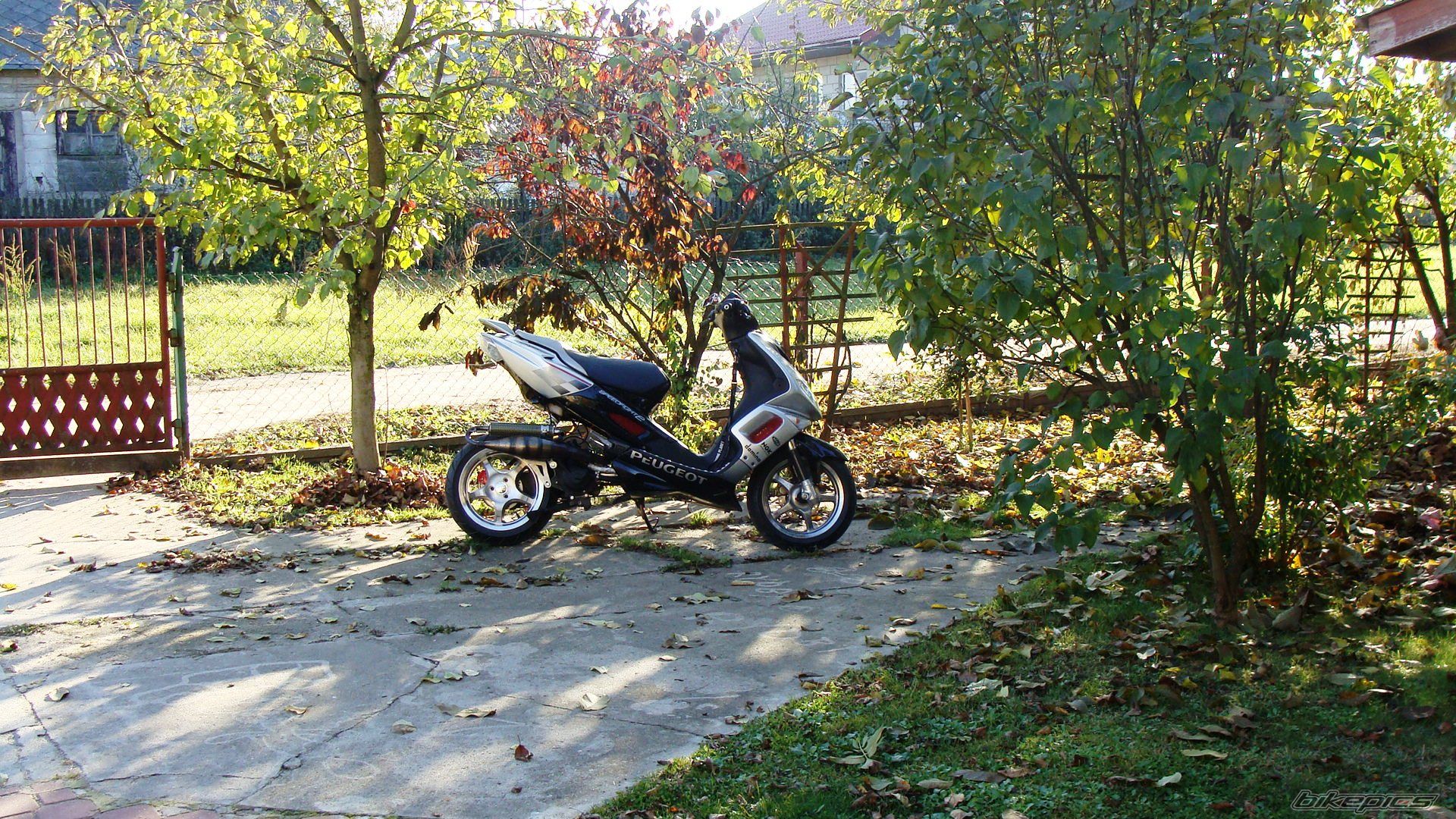 Photo 2287629