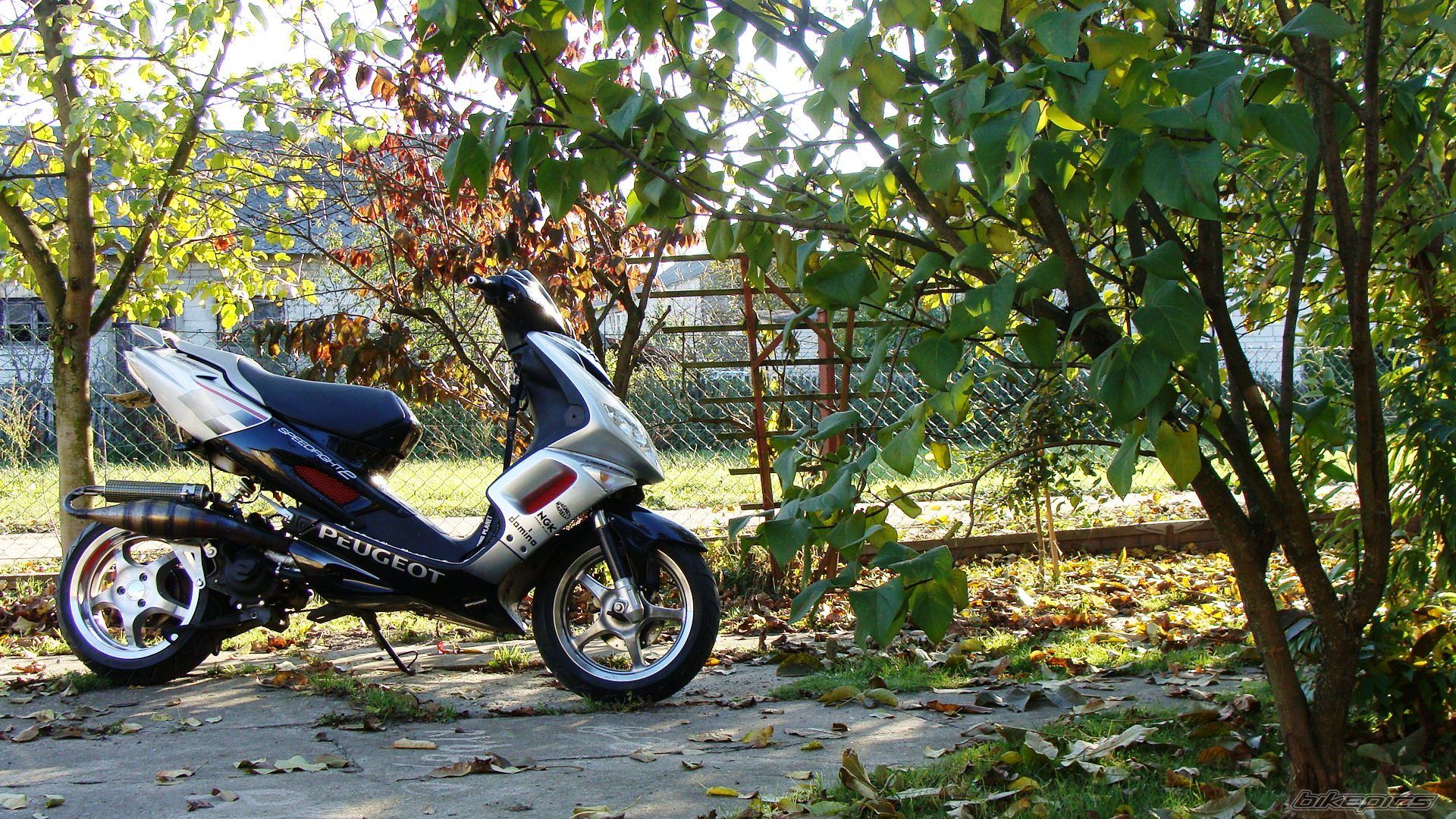 Photo 2287631