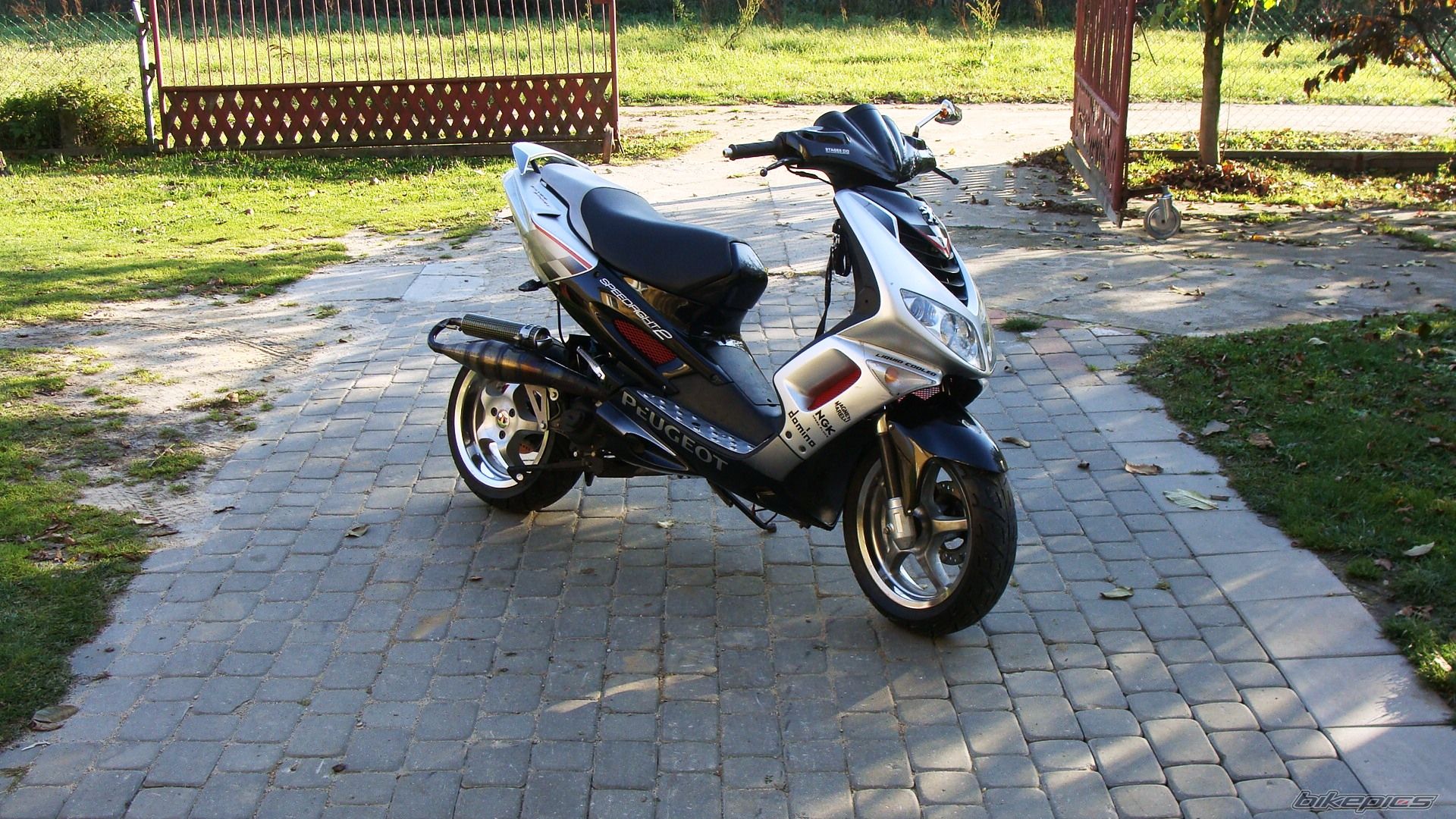 Photo 2287632