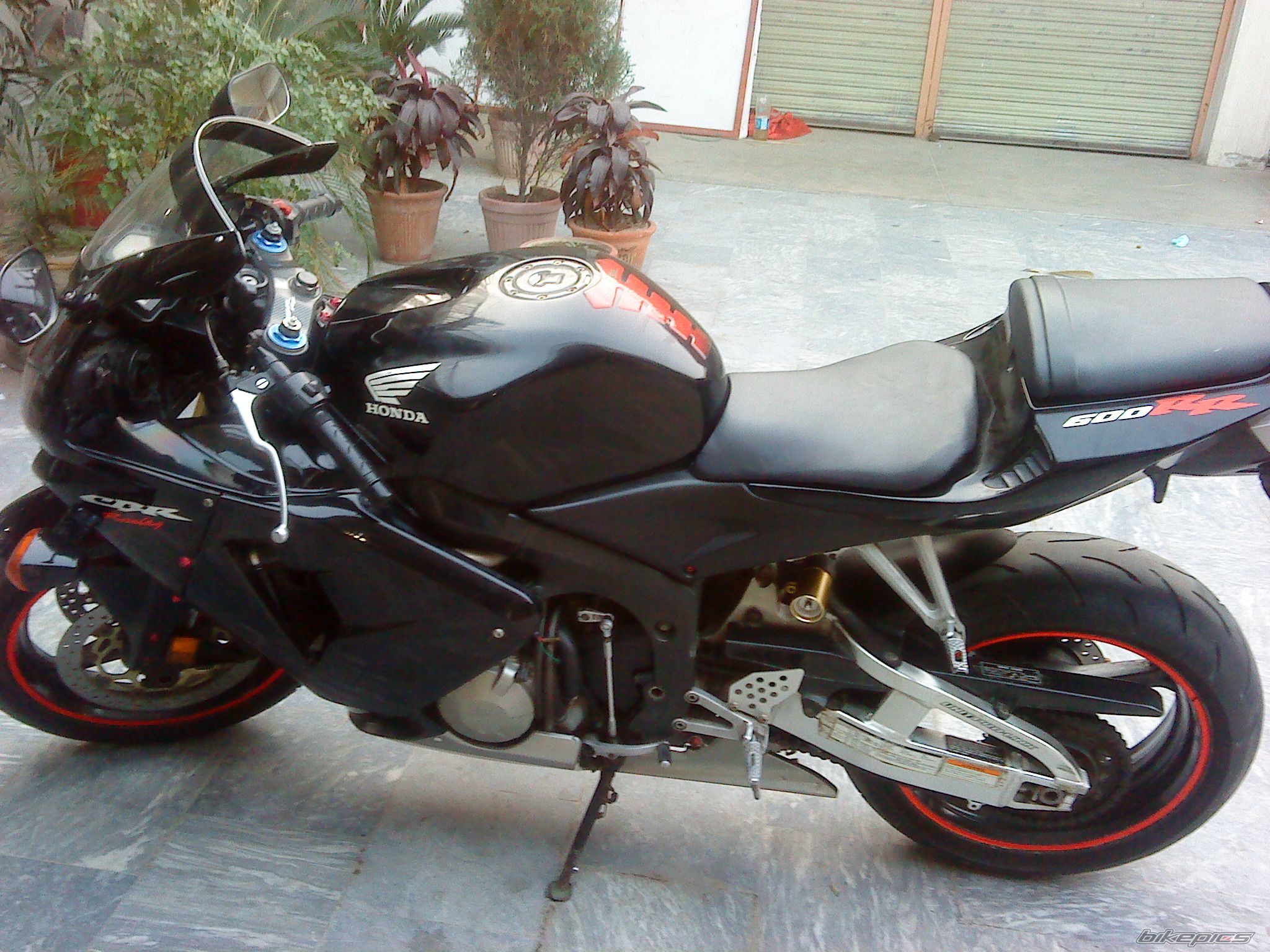Photo 2287640