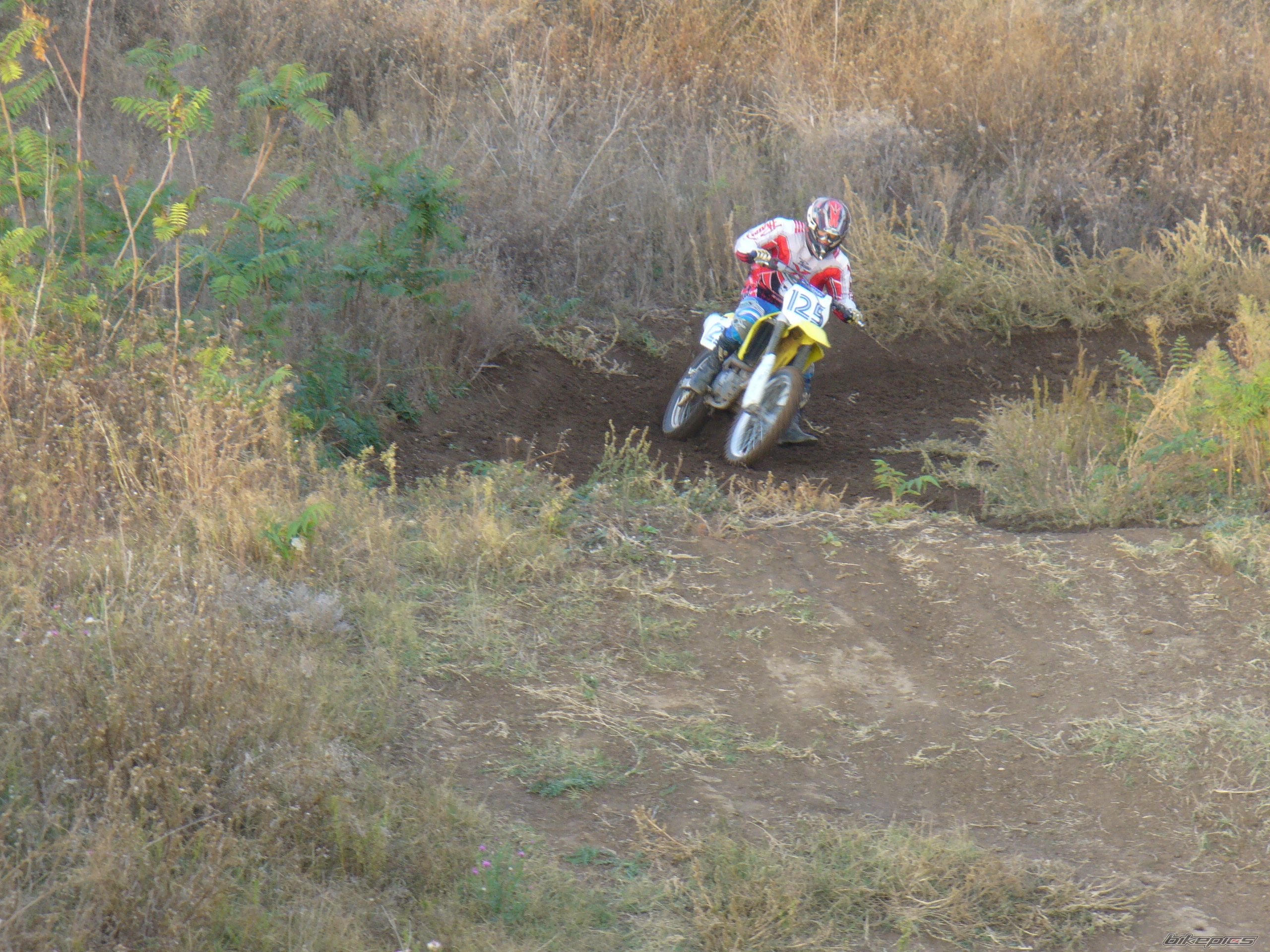 Photo 2287654