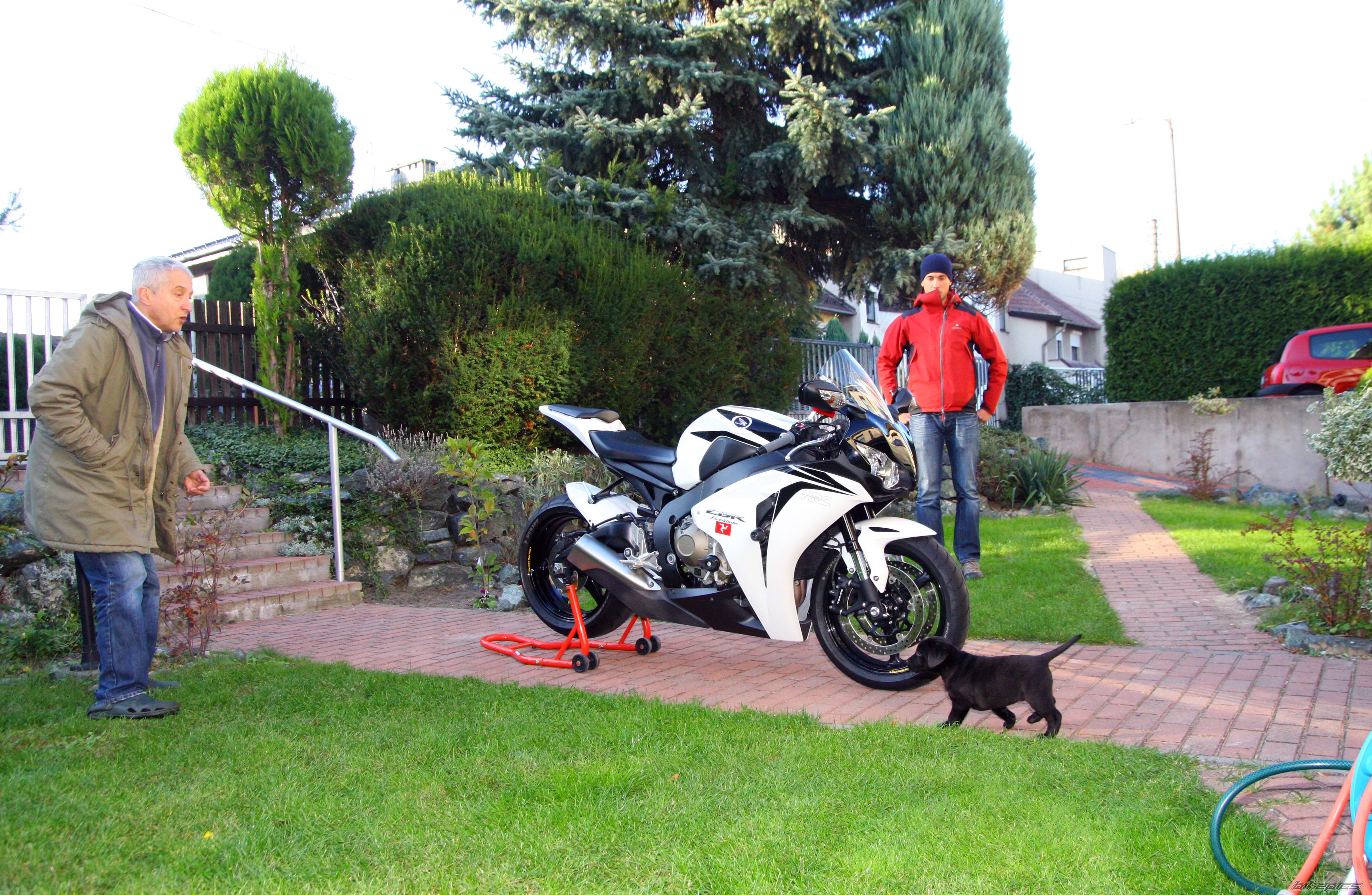 Photo 2287681