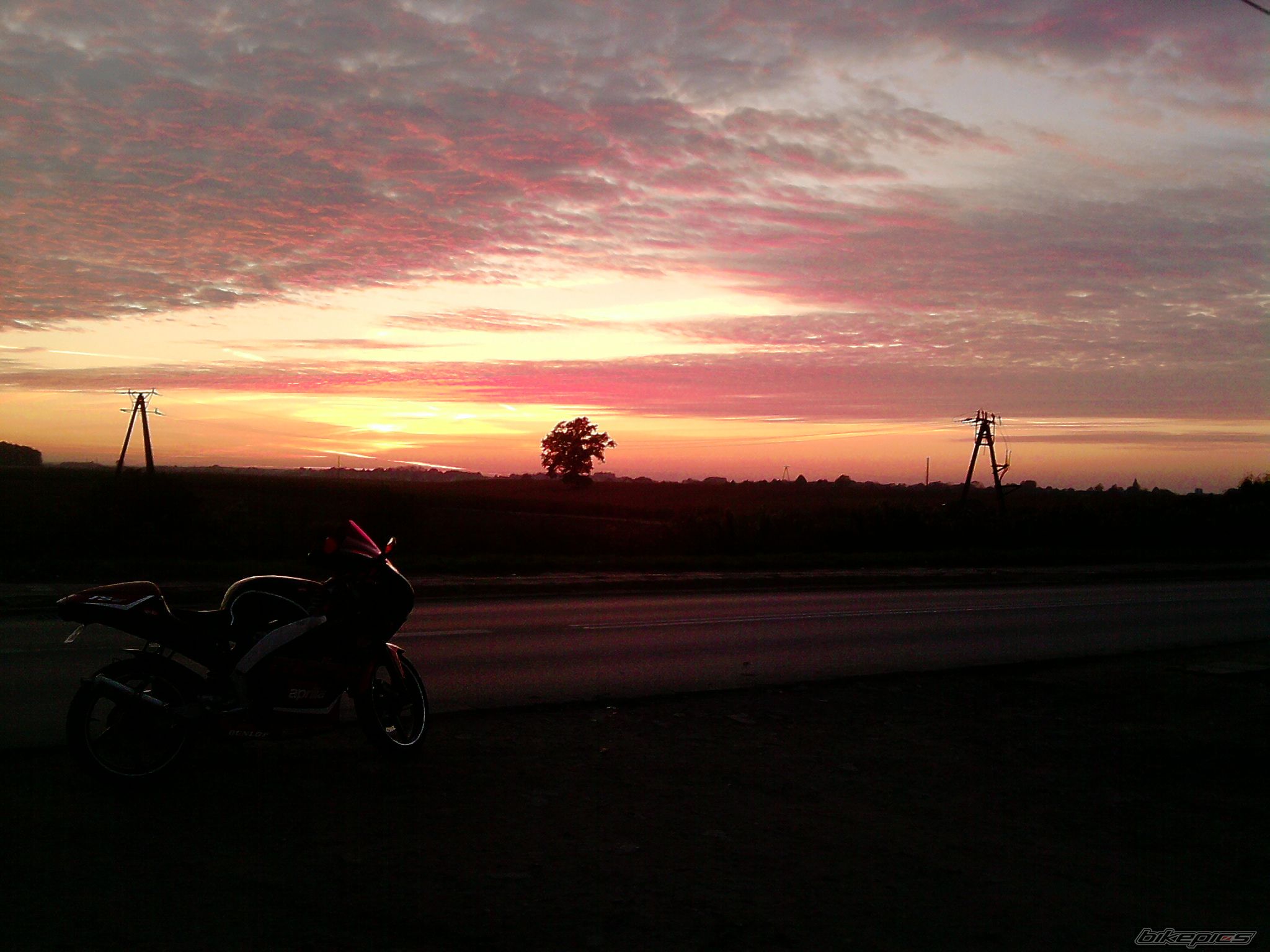 Photo 2287693