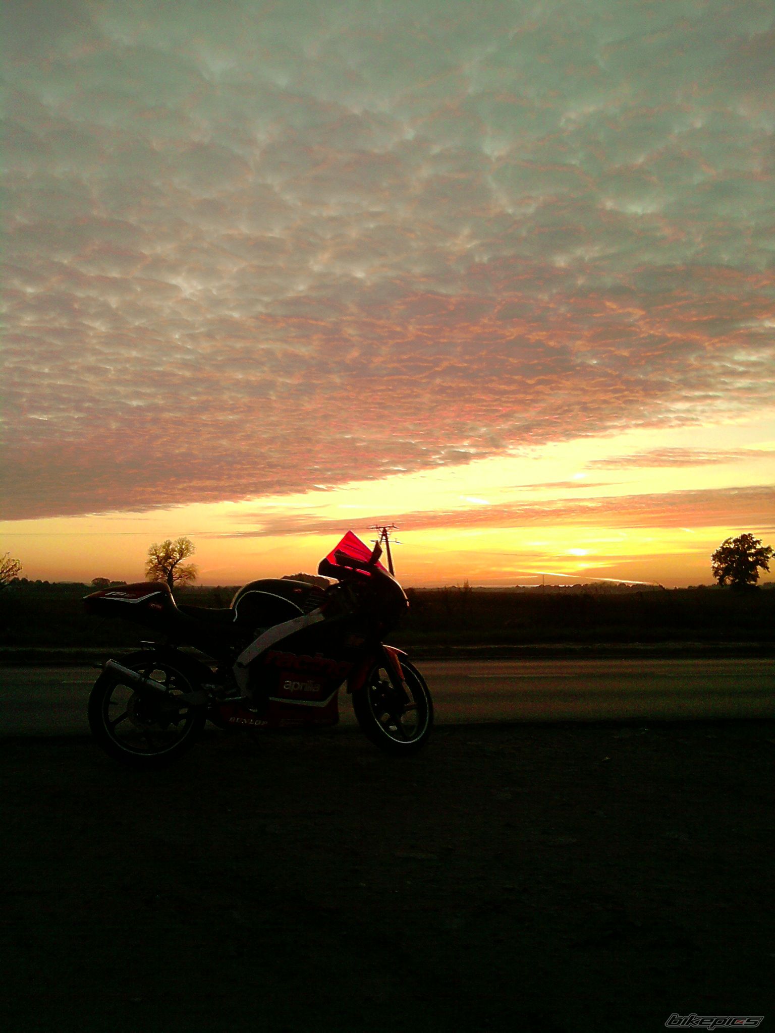 Photo 2287694