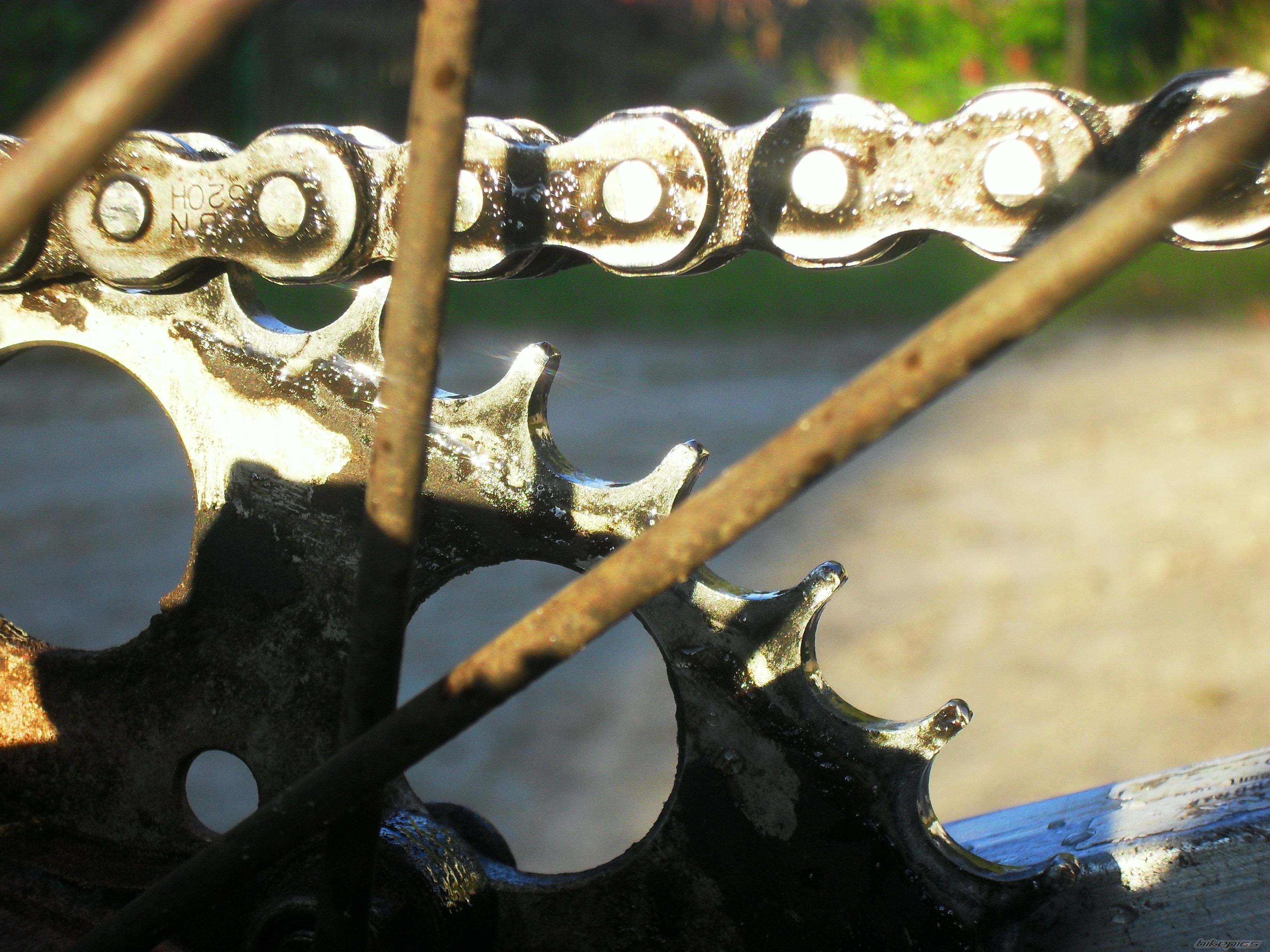 Photo 2287740