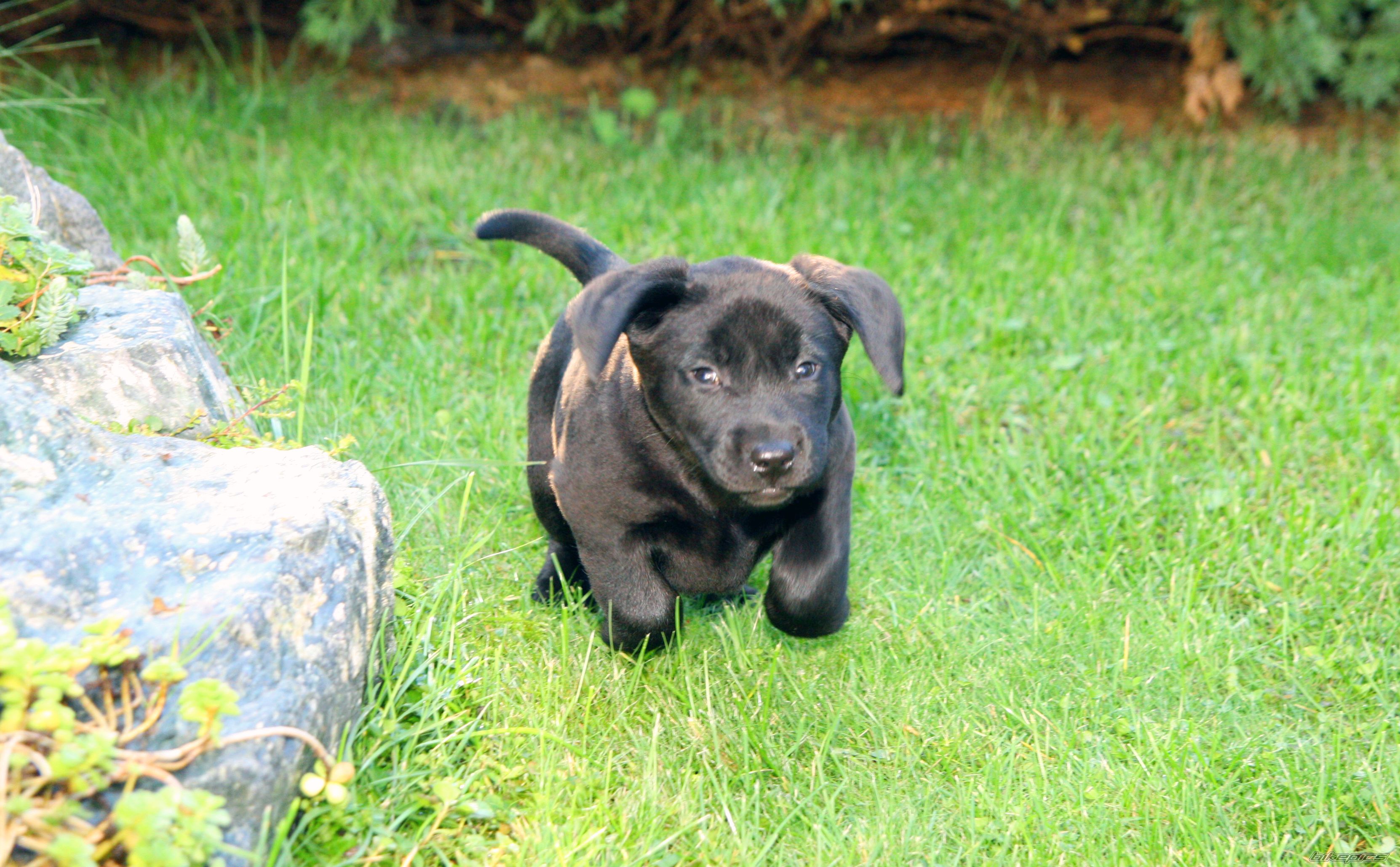 Photo 2287803