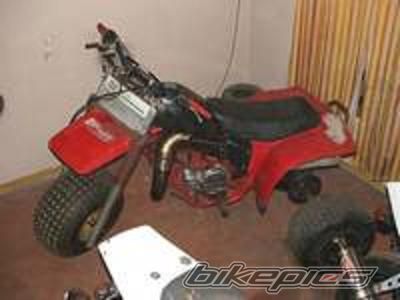 Photo 2287808