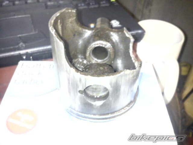 Photo 2287813