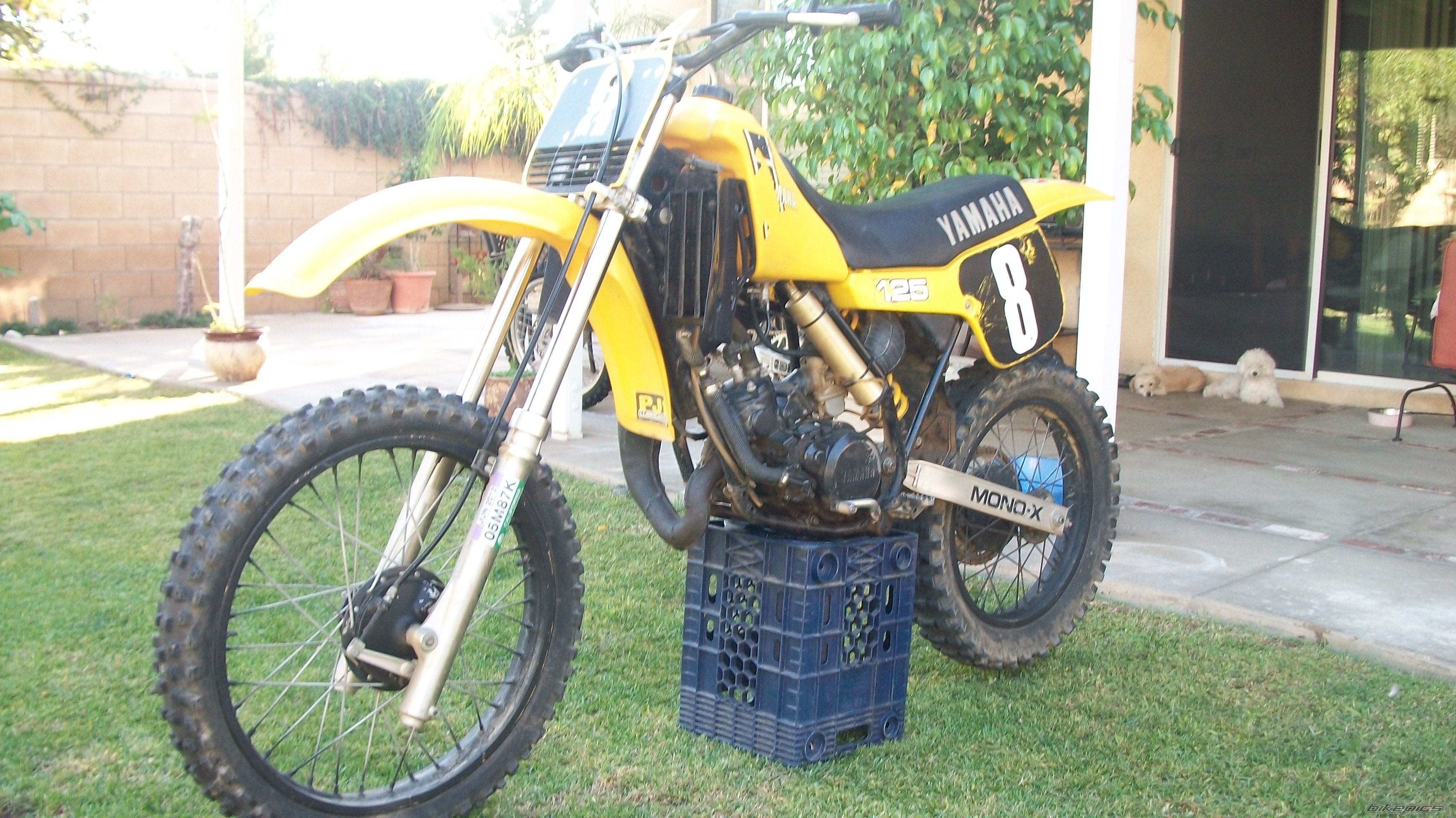 Bike Photo 2287979