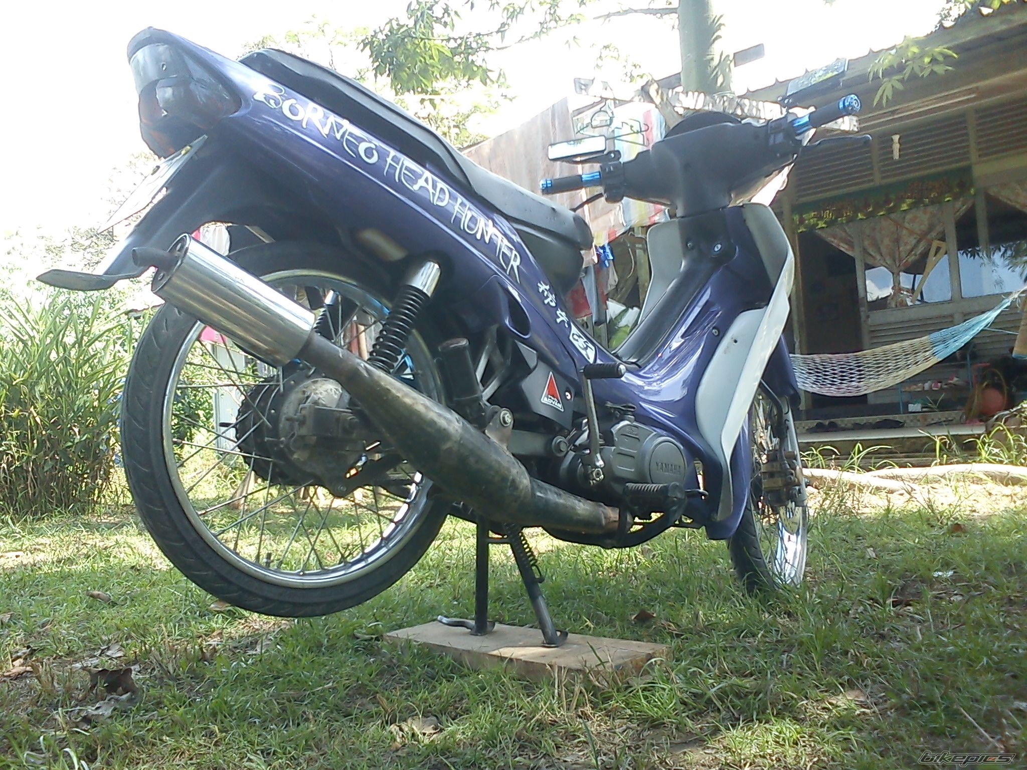 Photo 2288042