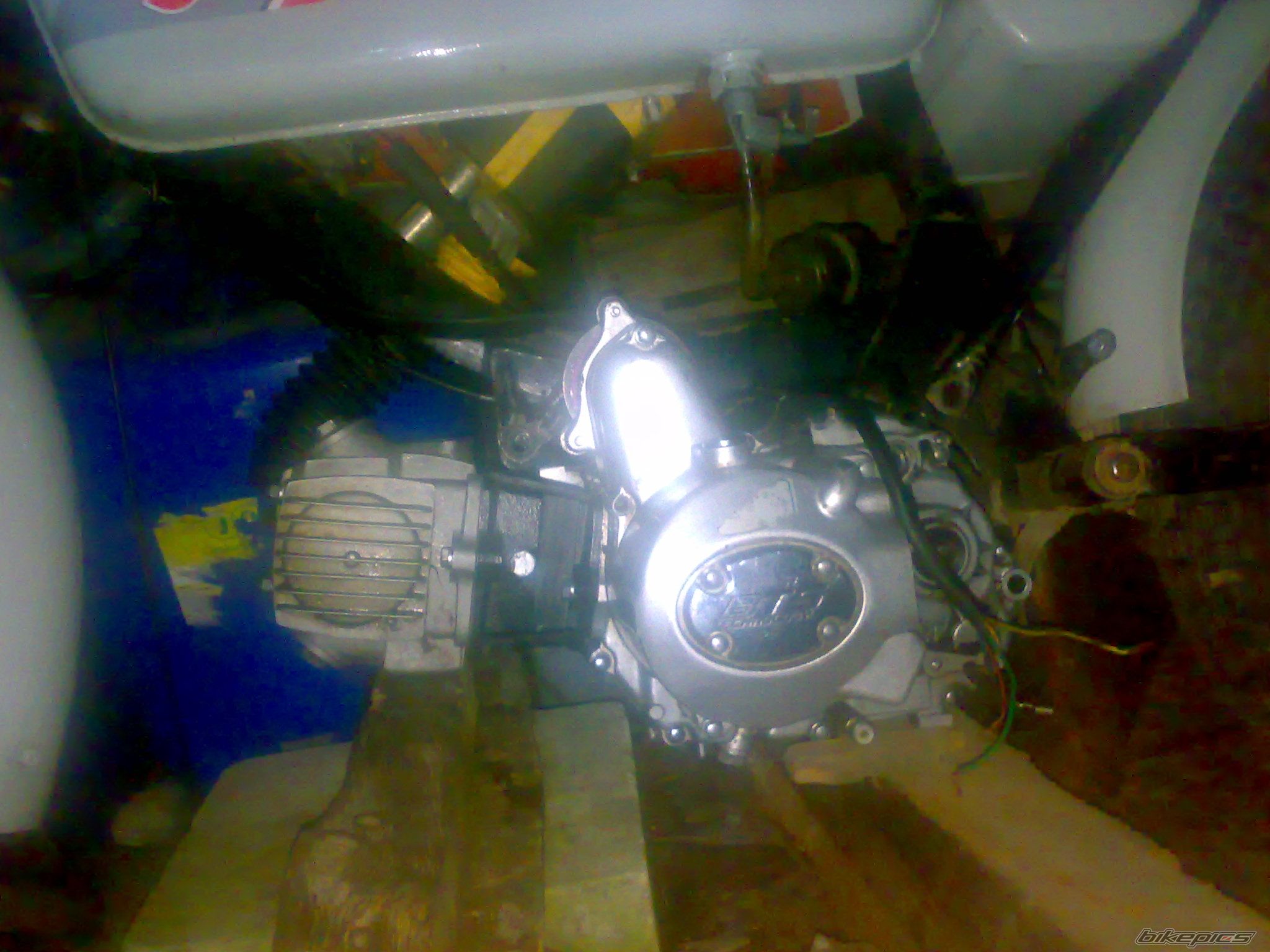 Photo 2288215