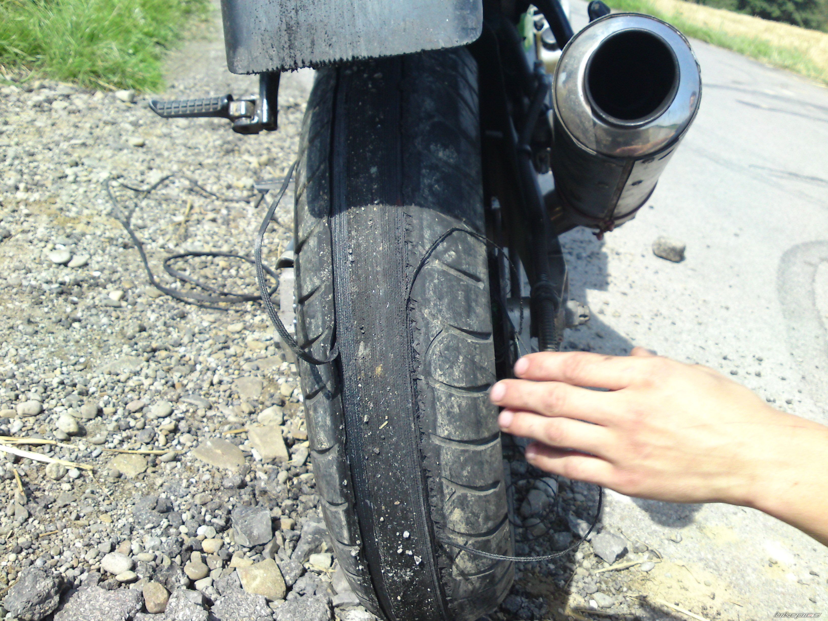 Photo 2288247