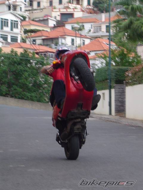 Bike Photo 228830