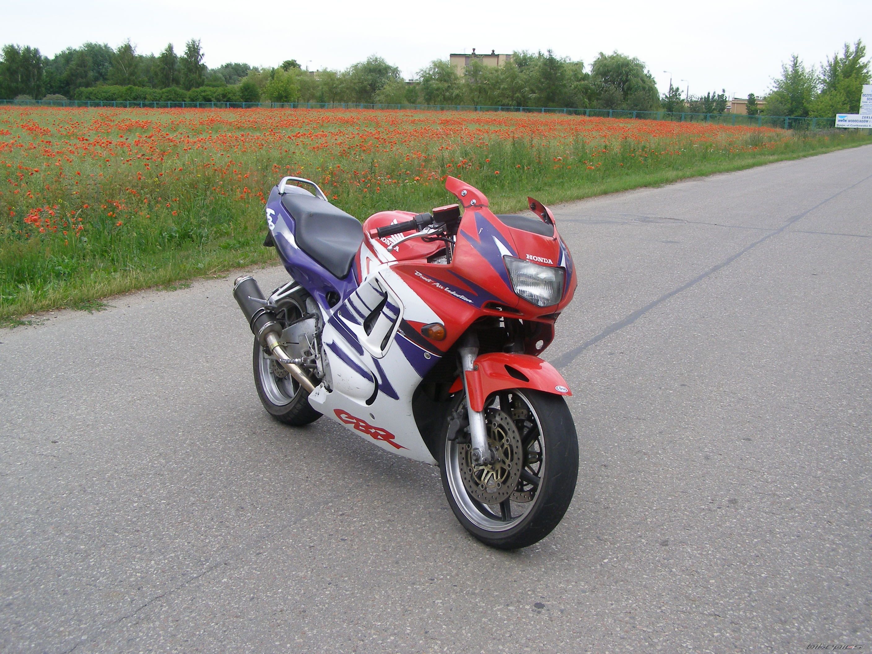 Photo 2288338