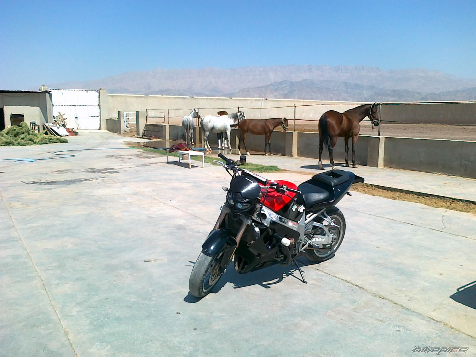 Bike Photo 2288383