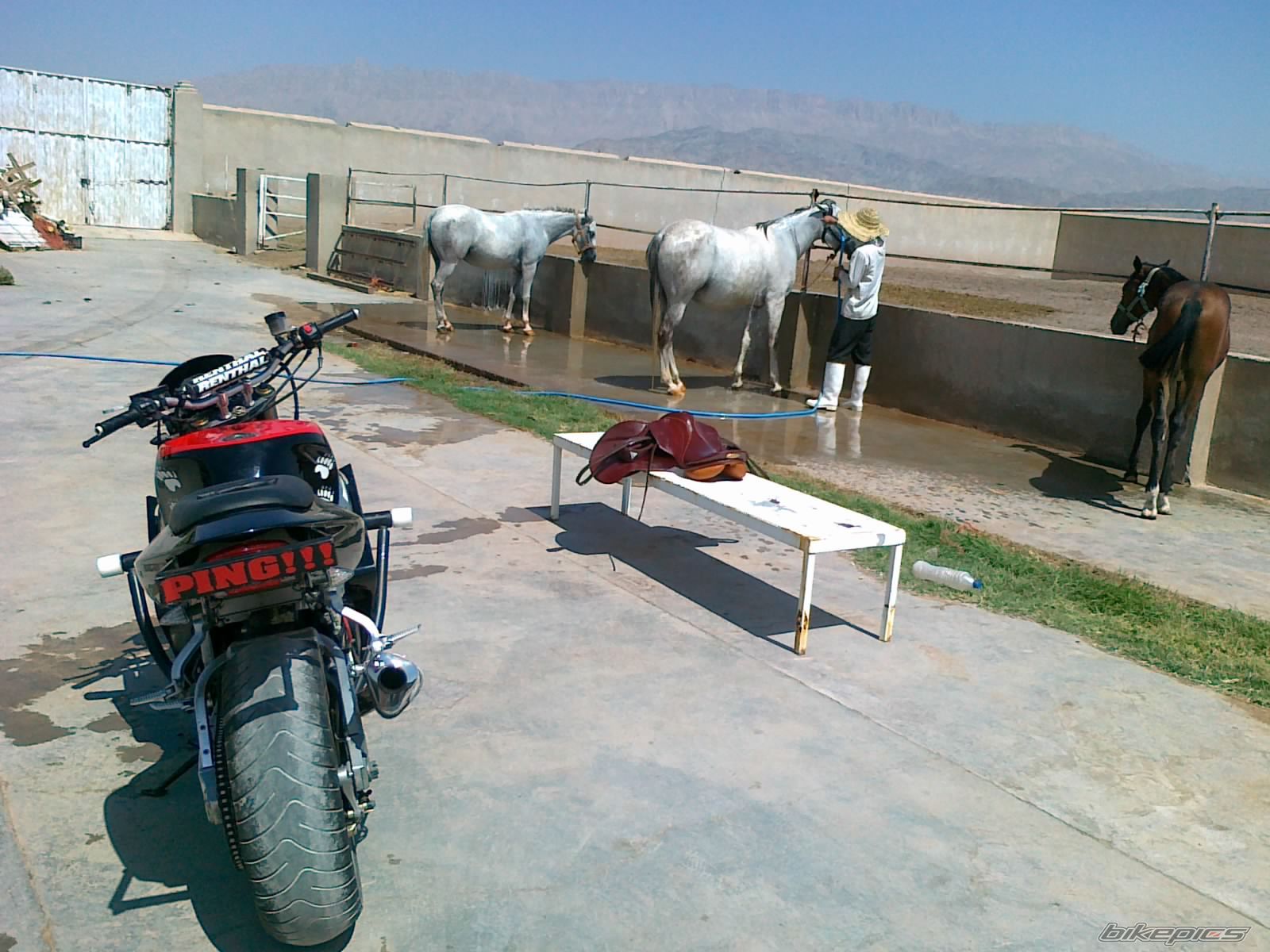 Photo 2288385