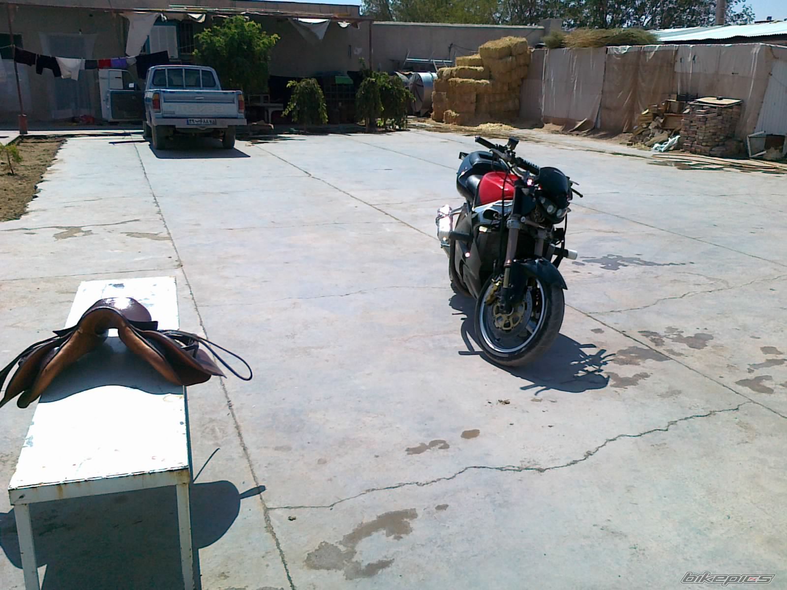 Photo 2288388