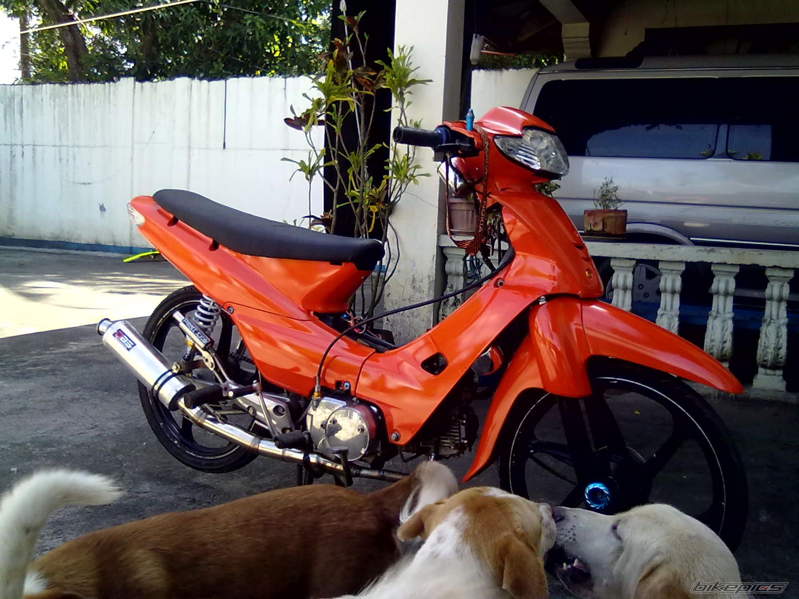 Bike Photo 2288407