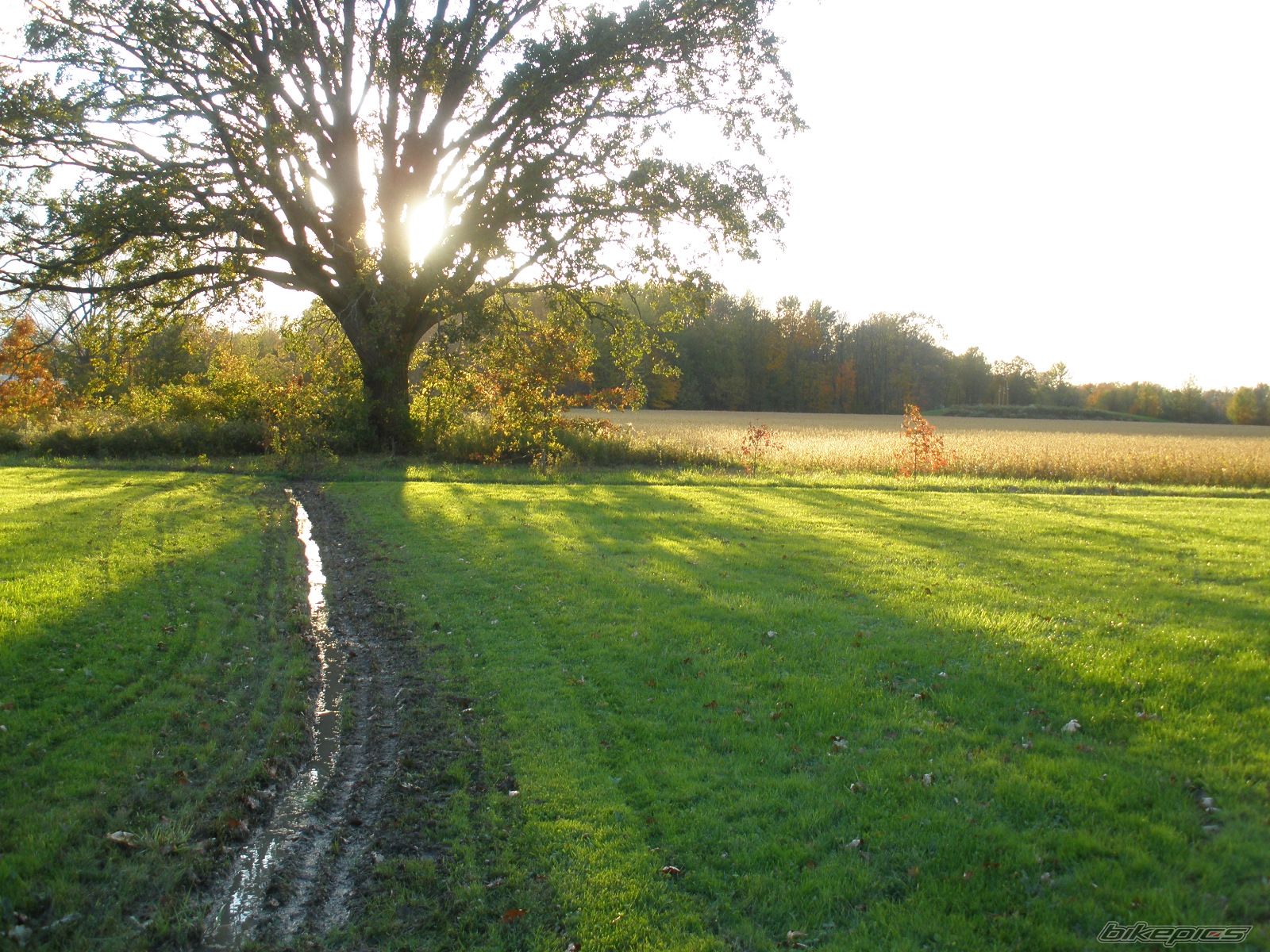 Photo 2288423