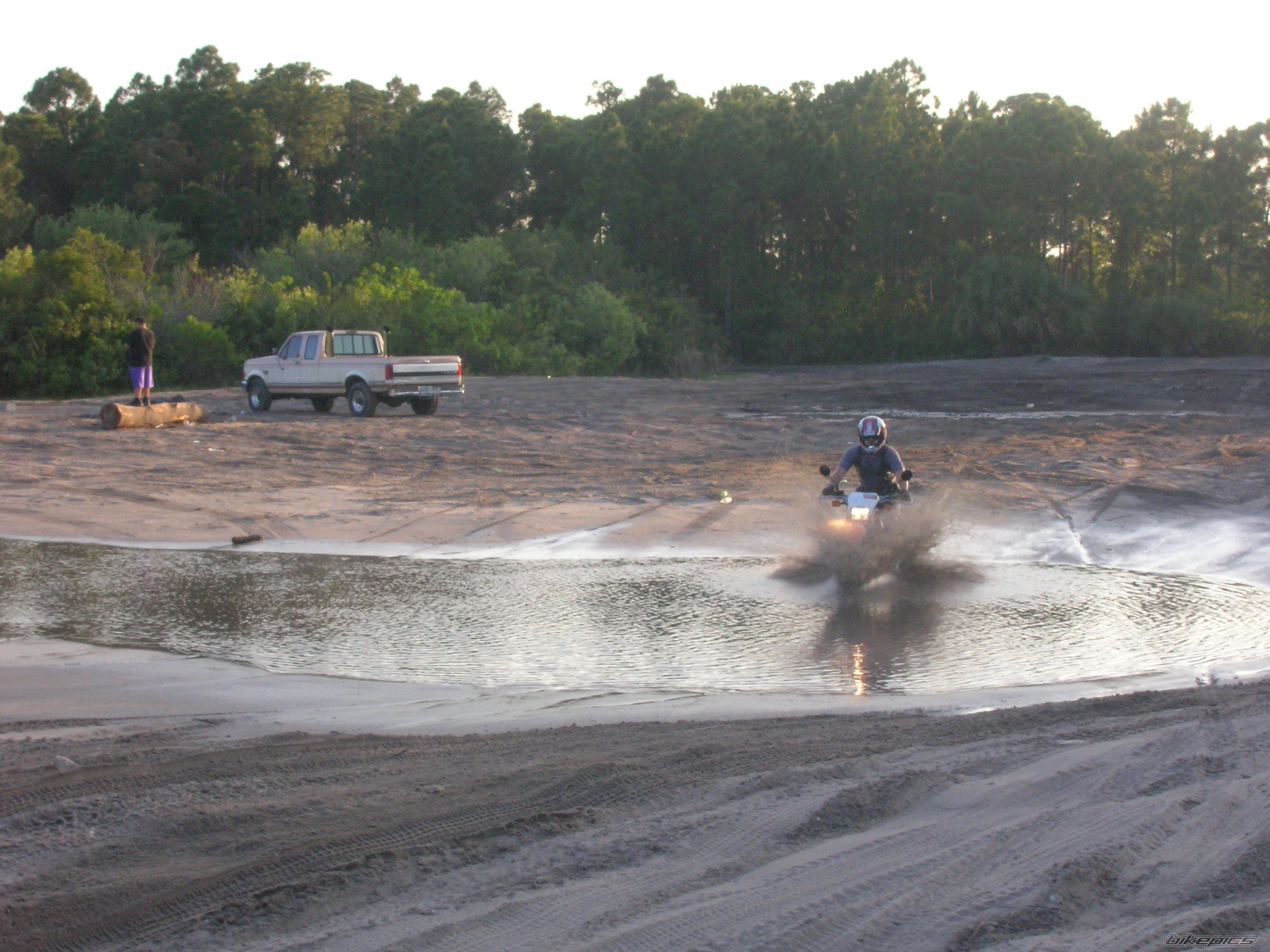 Photo 2288450