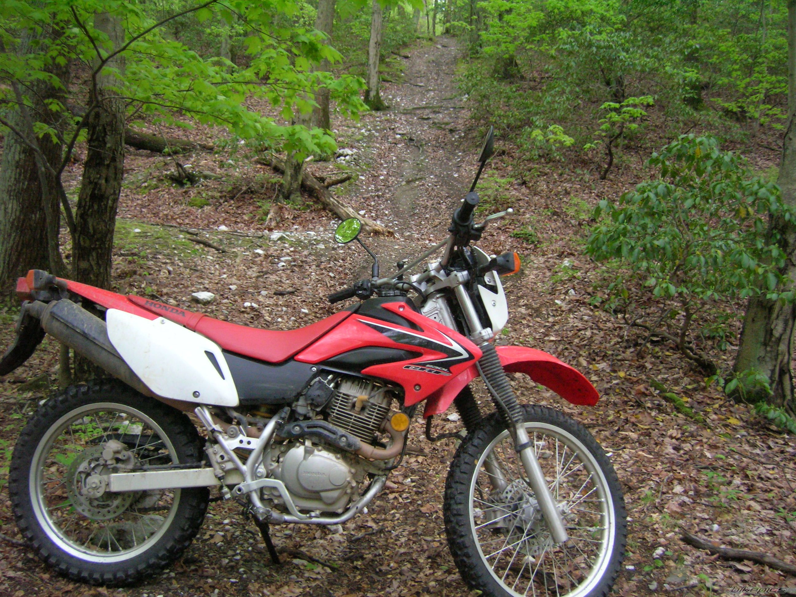 Photo 2288451