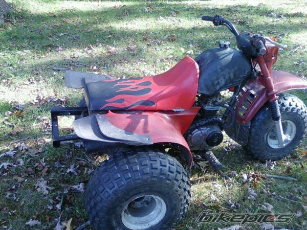 Photo 2288469