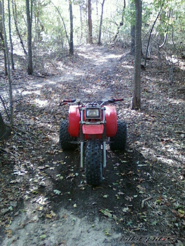 Bike Photo 2288470