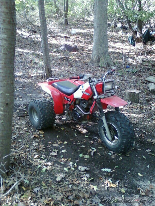 Photo 2288471