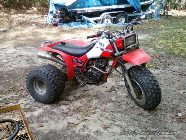 Photo 2288472