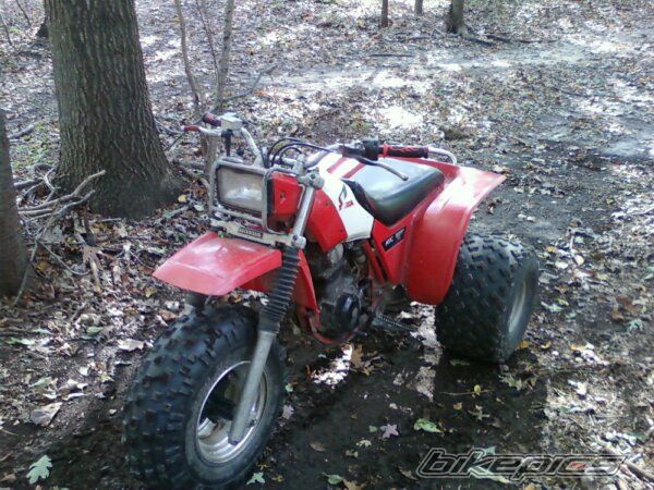 Bike Photo 2288474