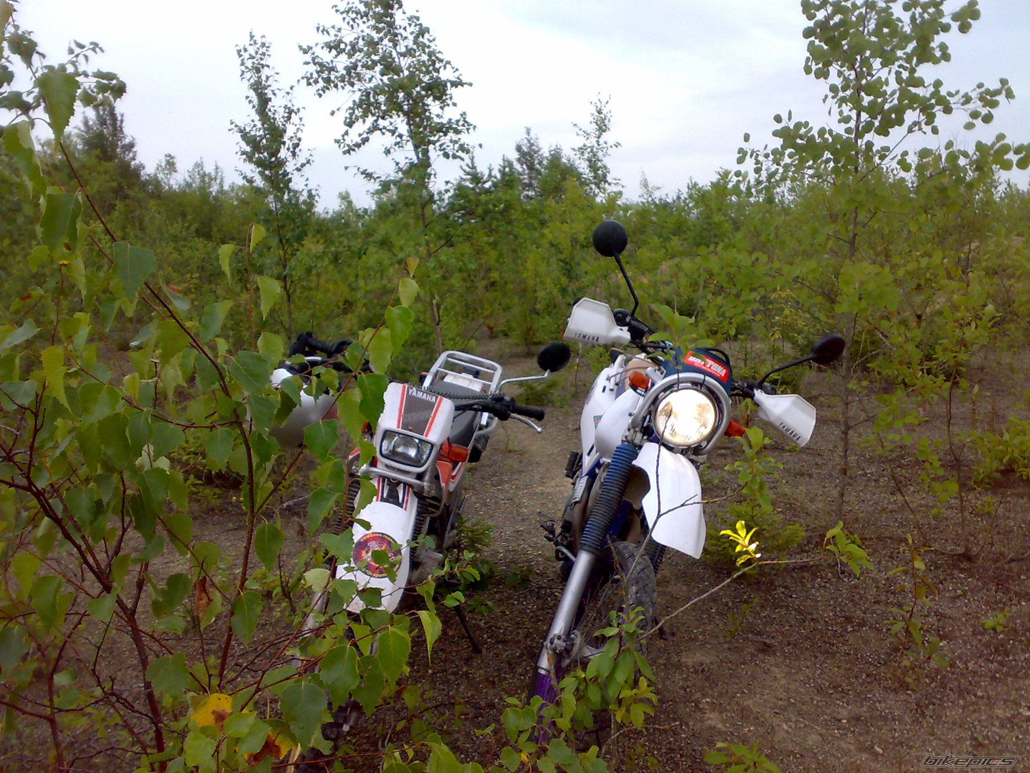 Photo 2288518