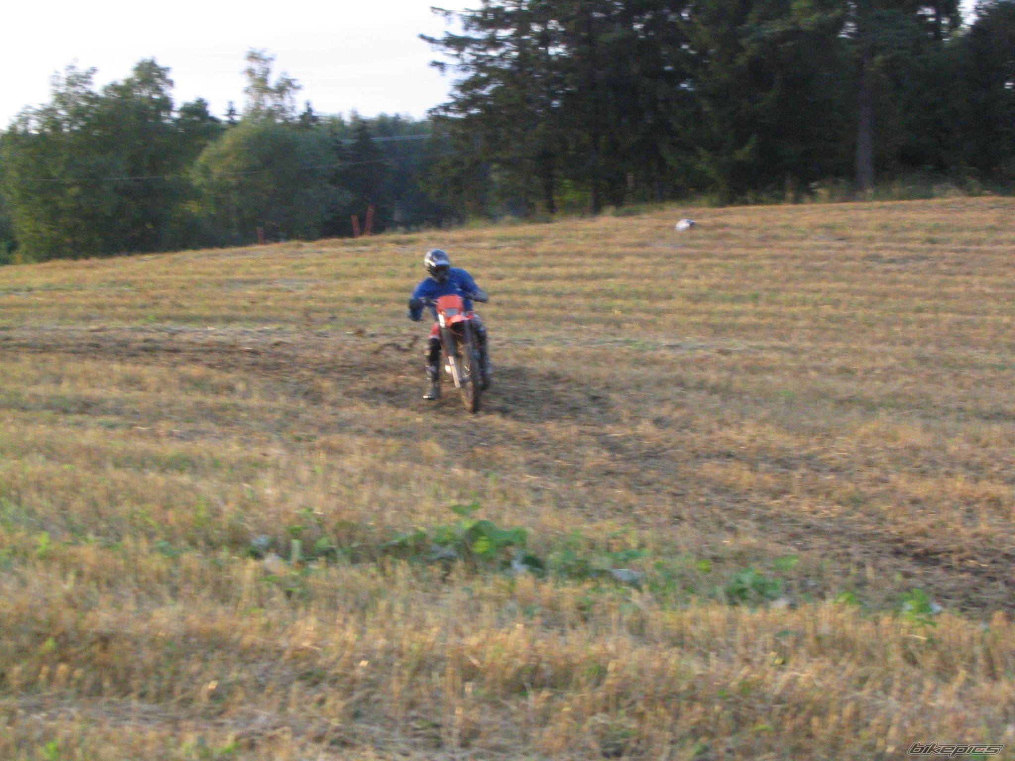 Photo 228852