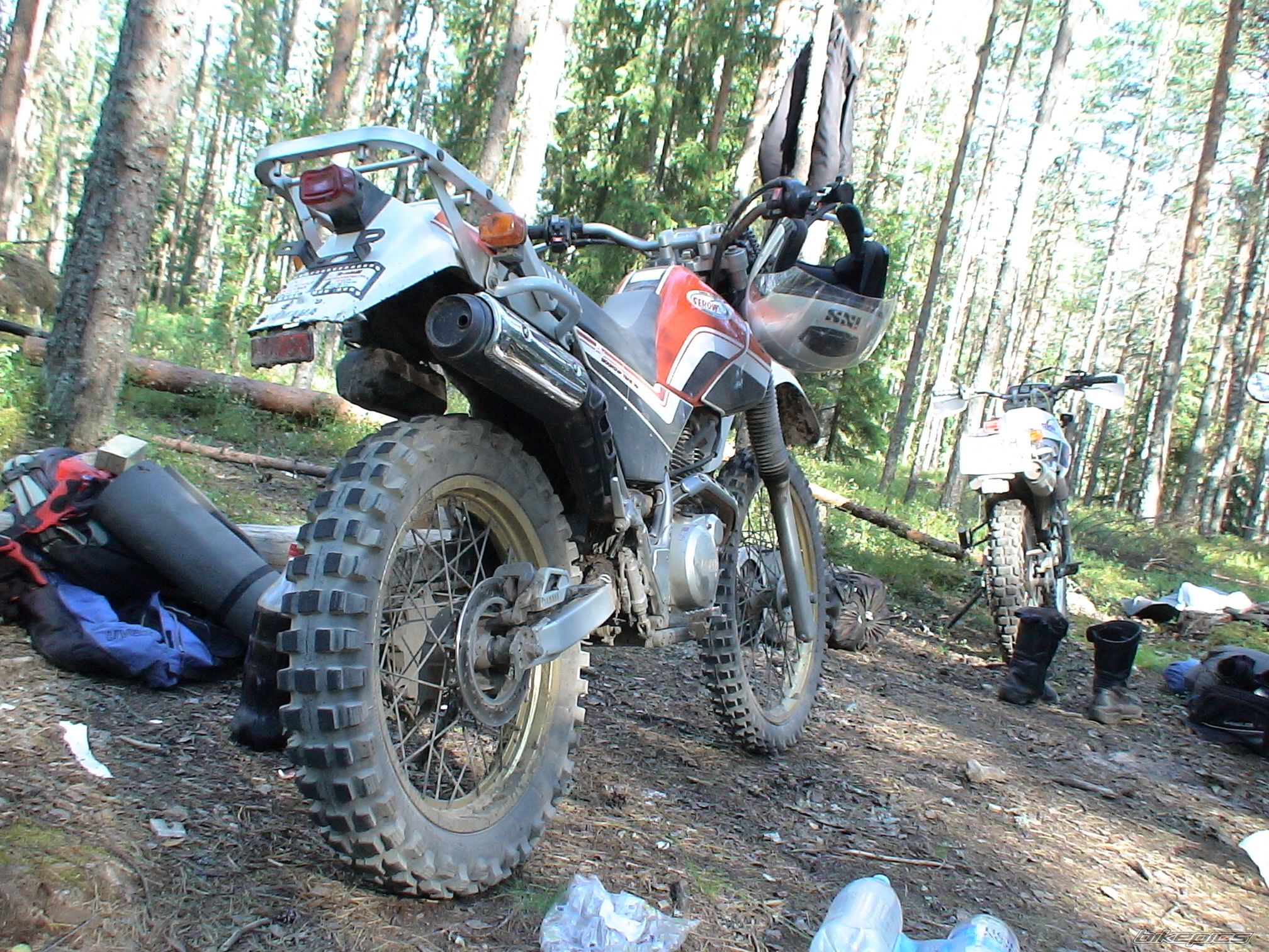 Photo 2288521