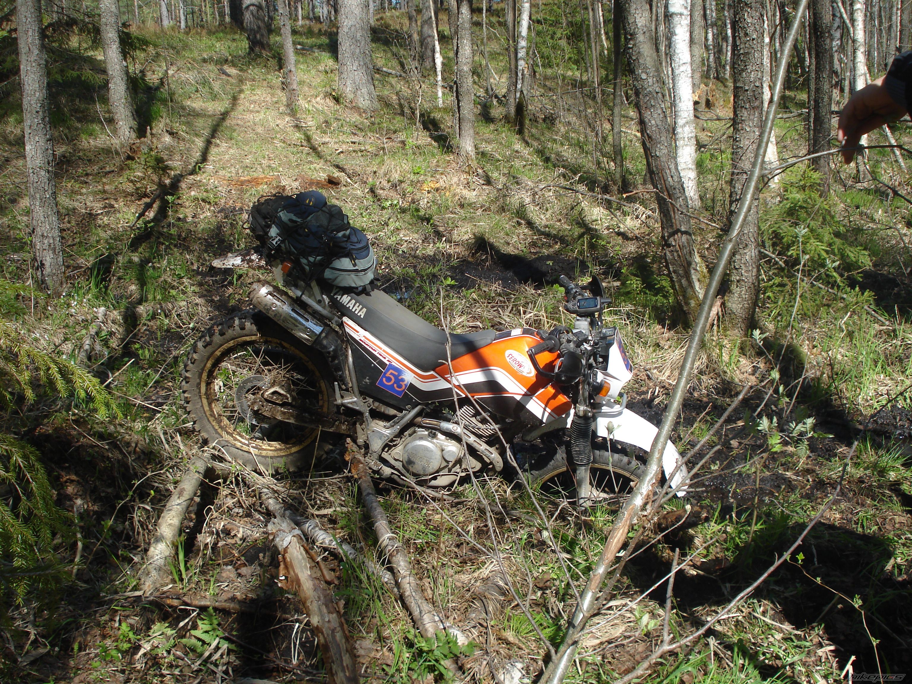 Photo 2288525