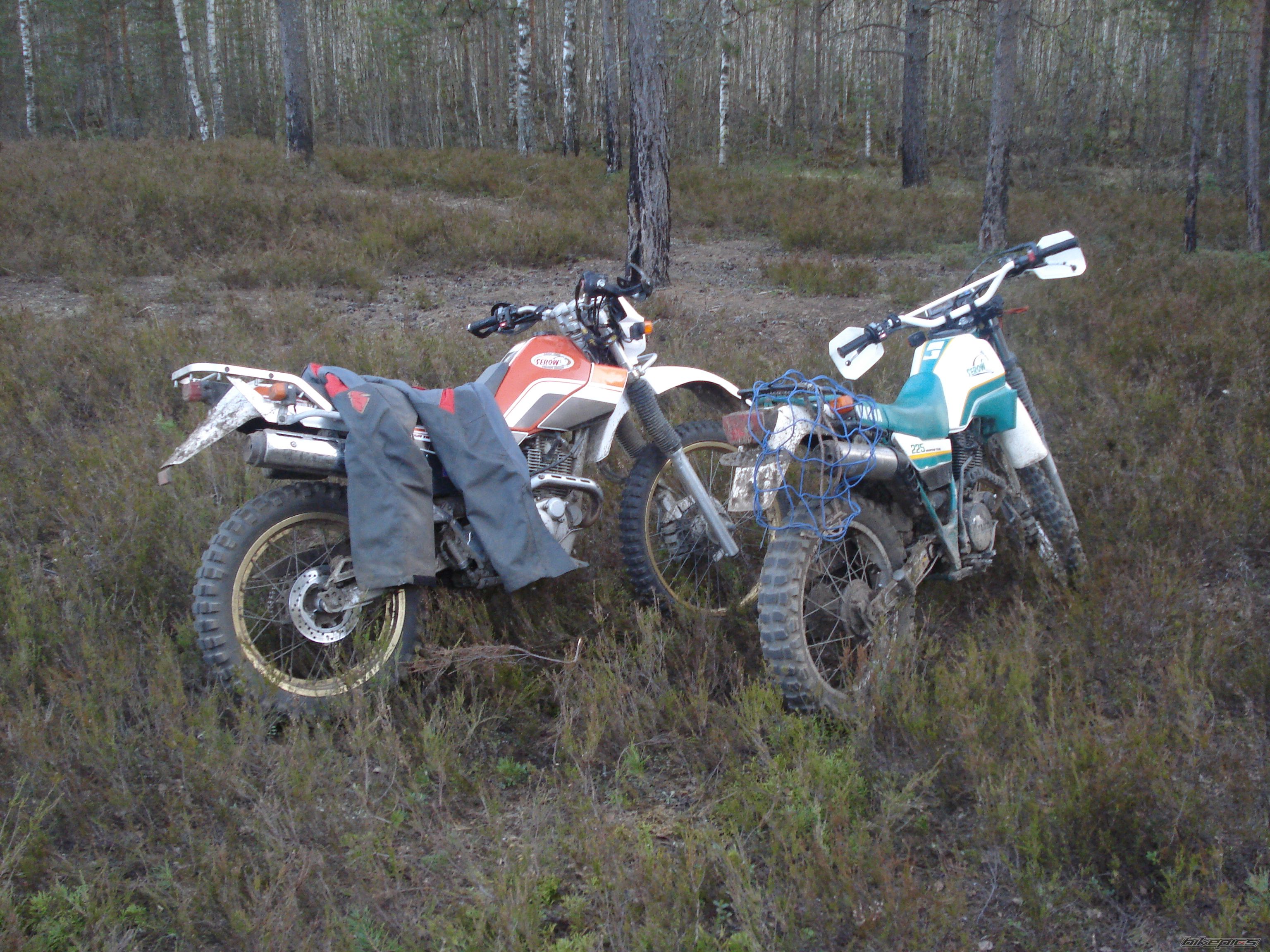 Photo 2288526