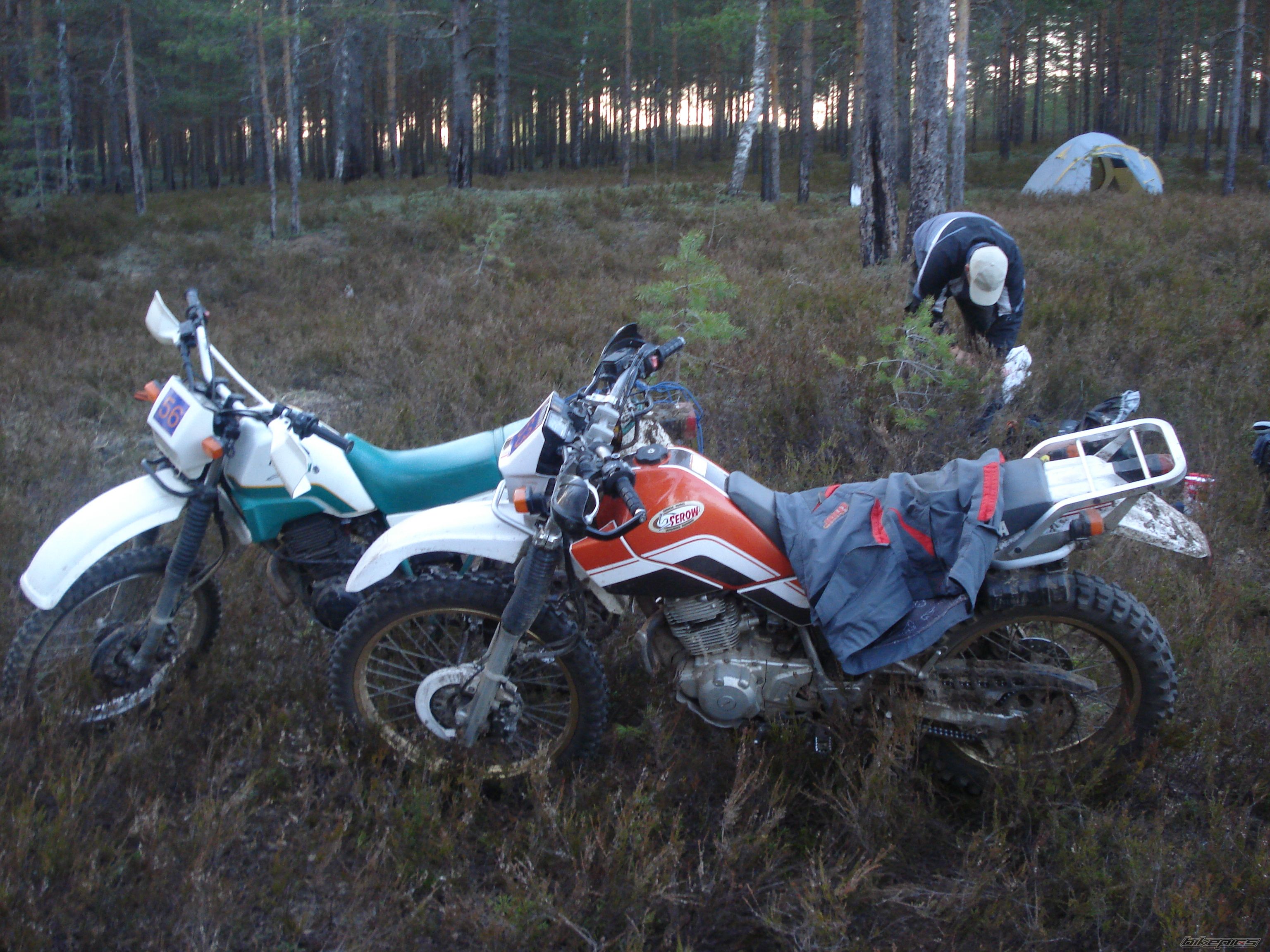 Photo 2288527