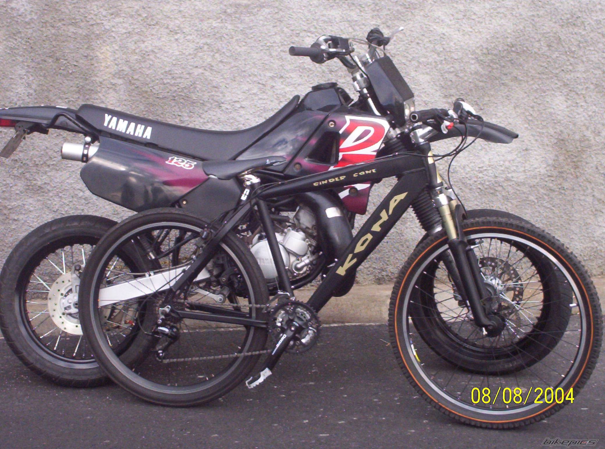 Photo 228854