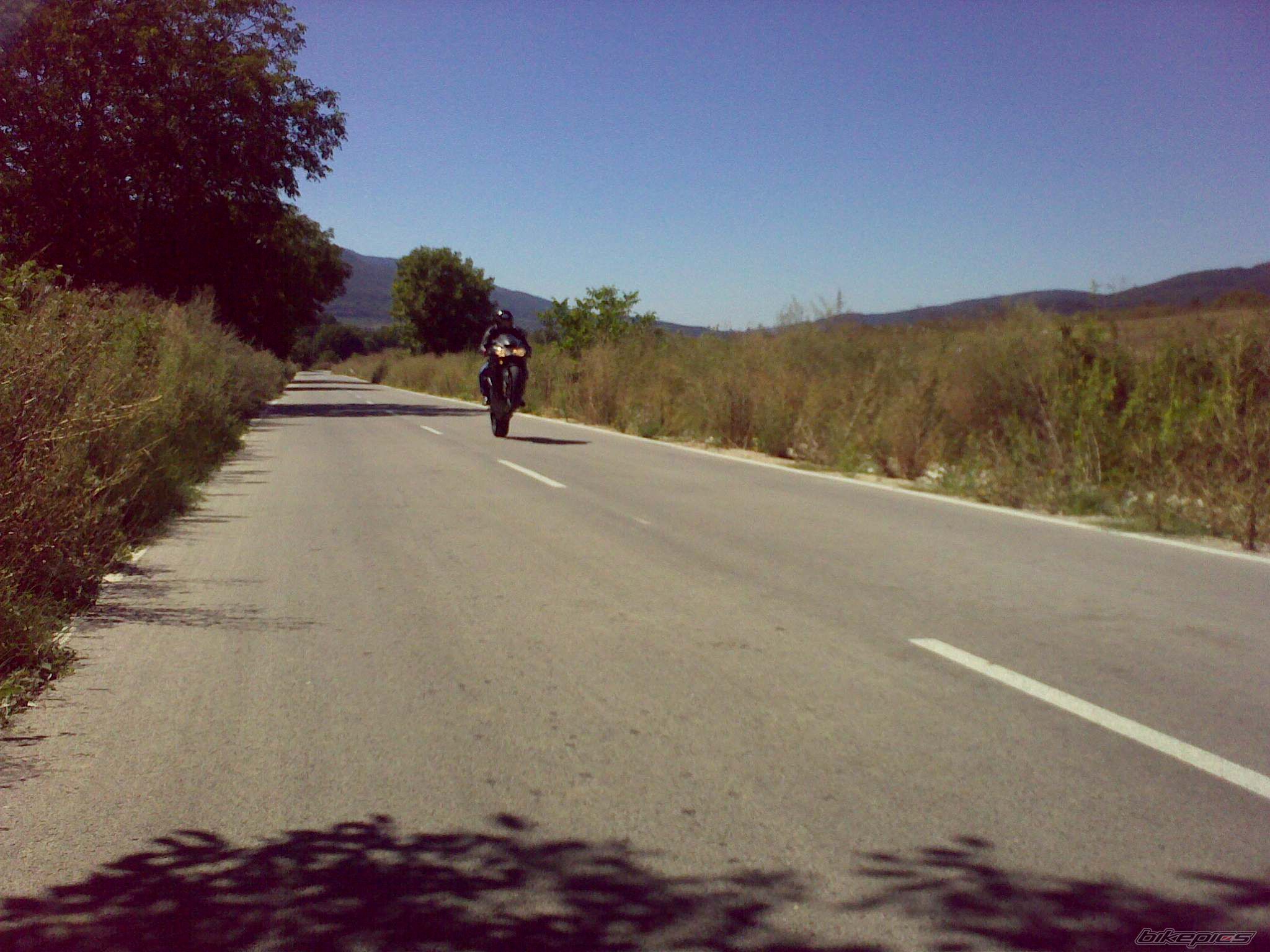 Photo 2288540