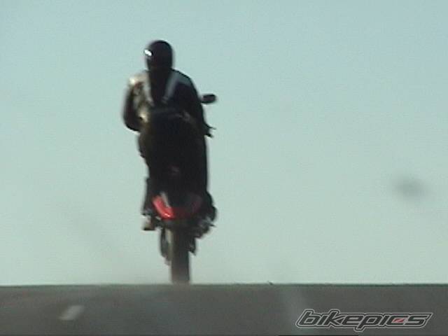 Photo 228868