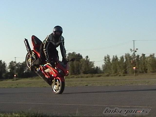 Photo 228872