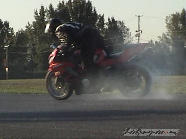 Photo 228873