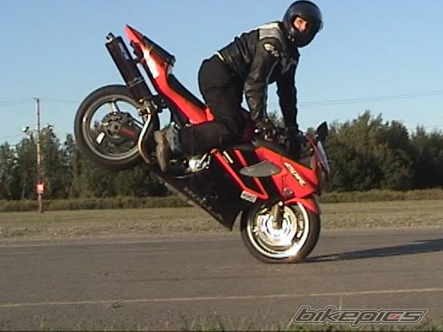 Photo 228874