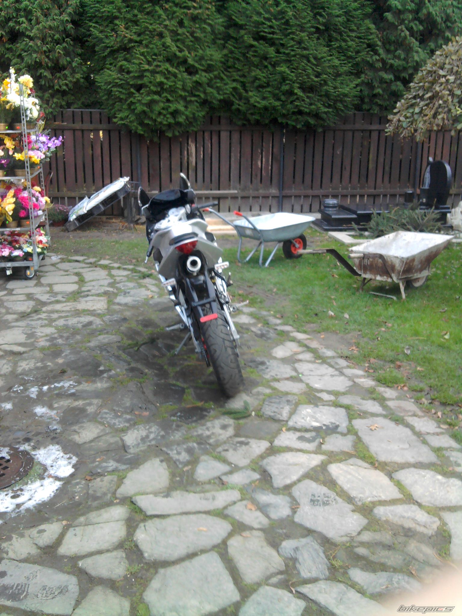 Bike Photo 2288767